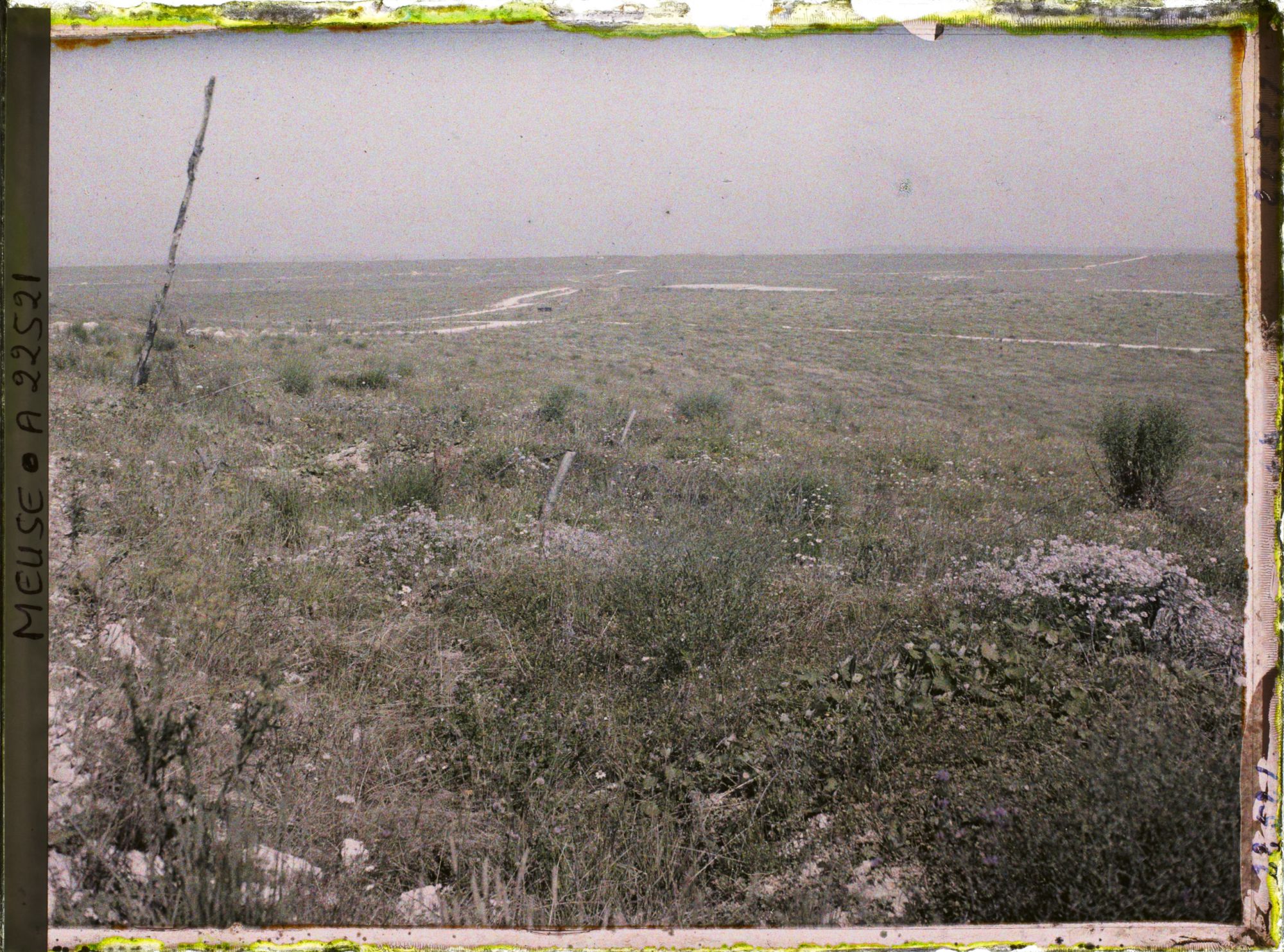 Image représentant France, Fort de Souville, Emplacement de la Chapelle Ste Fine le bois du Chapitre, le bois Fumin (De gauche à Droite)