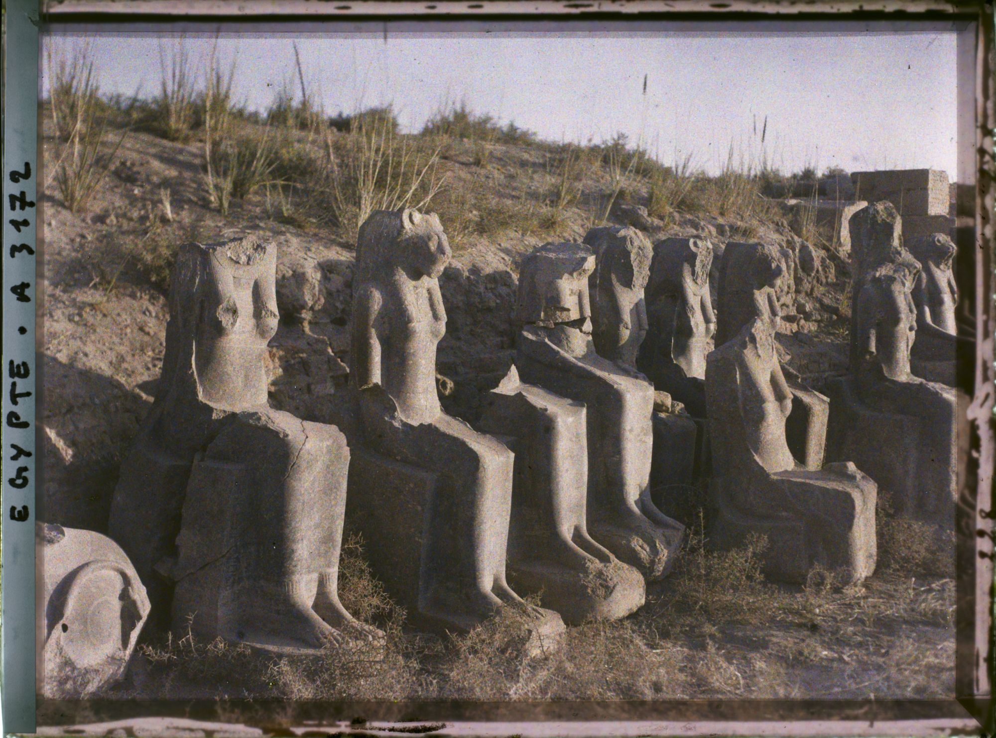 Image représentant Plusieurs statues de la déesse Sekhmet