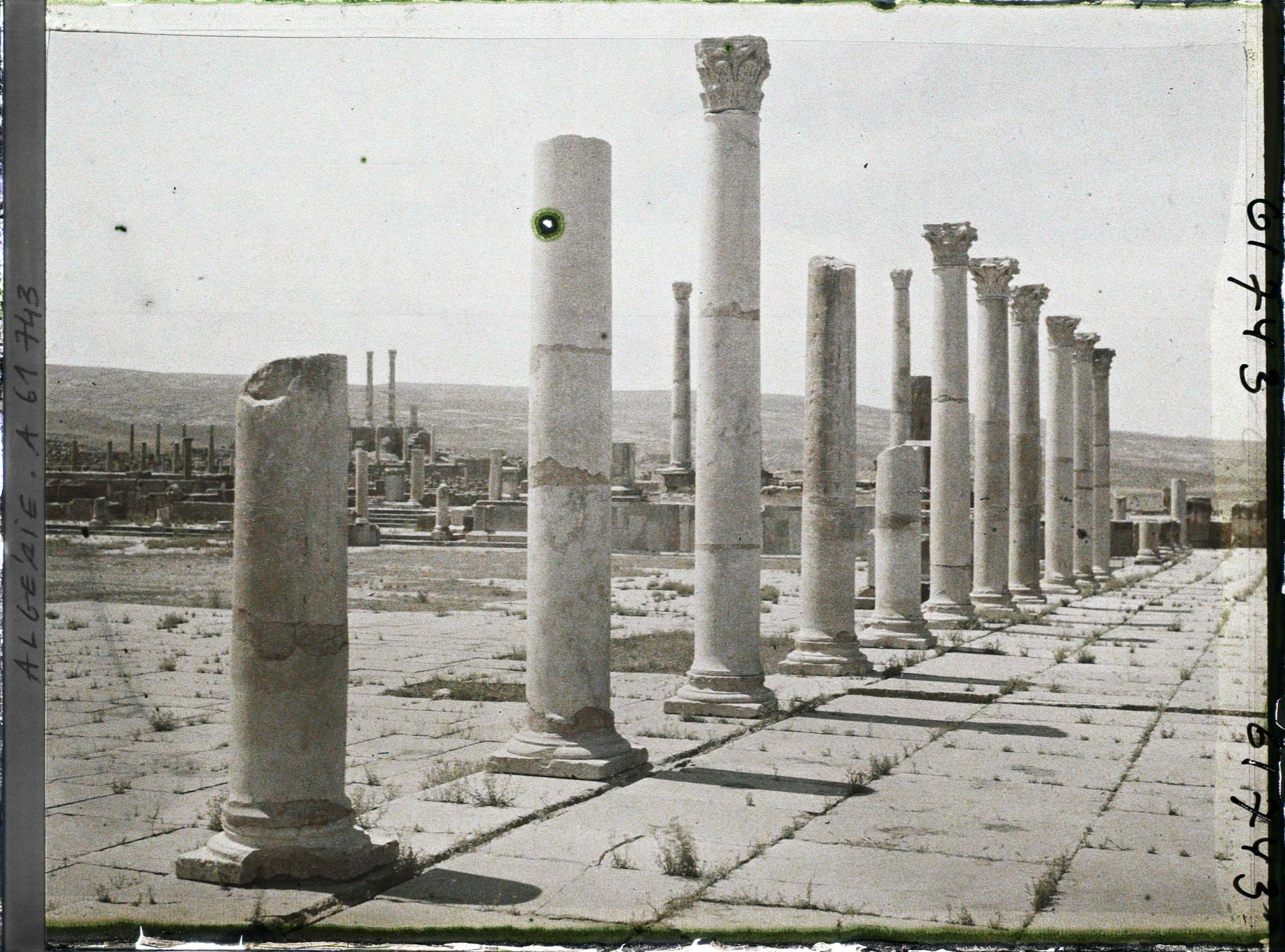 Image représentant Algérie, Timgad, Place et colonnade du Forum