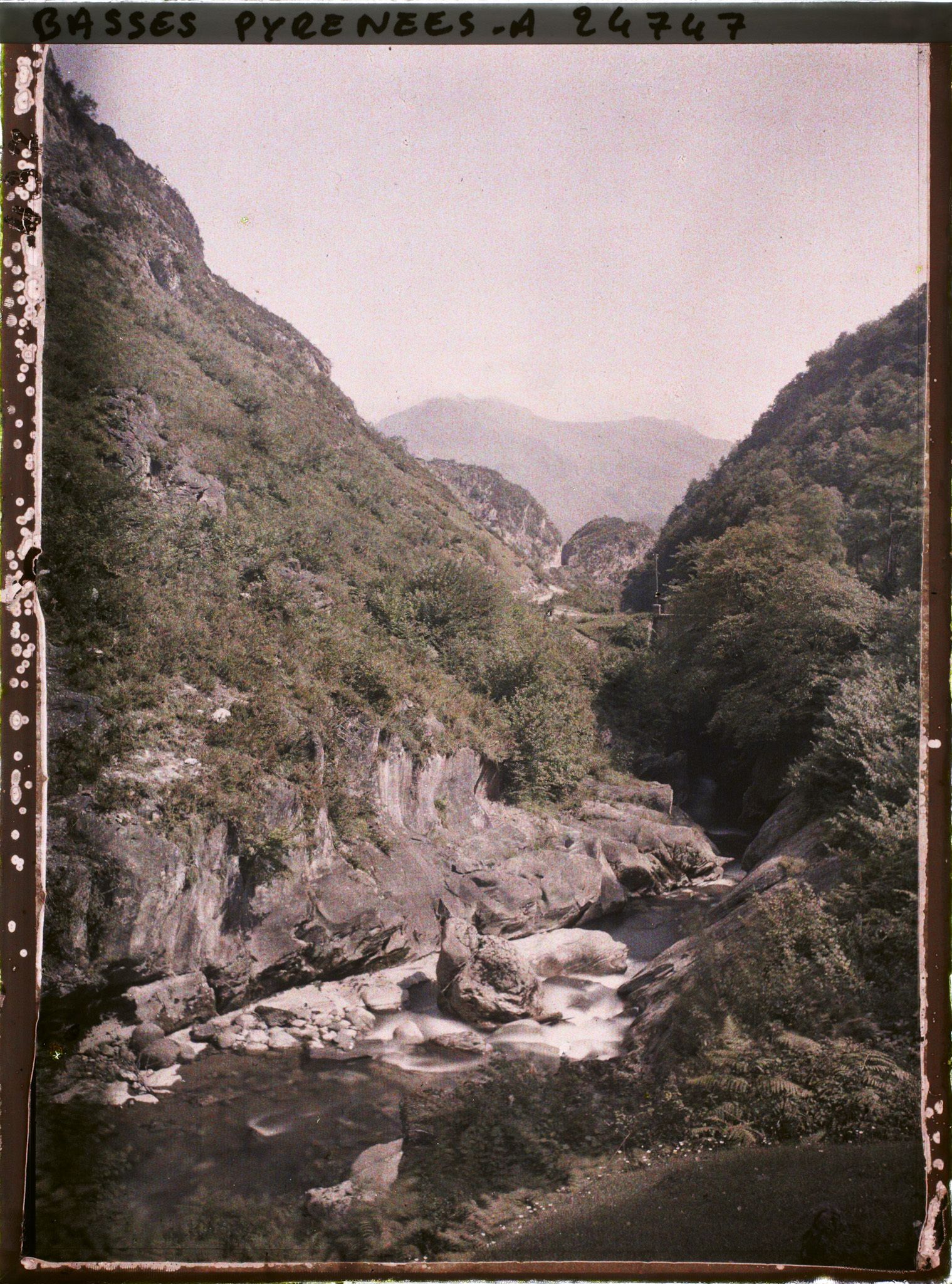 Image représentant France, Vallée d'Ossau, Le Gave entre Laruns et Eaux Chaudes