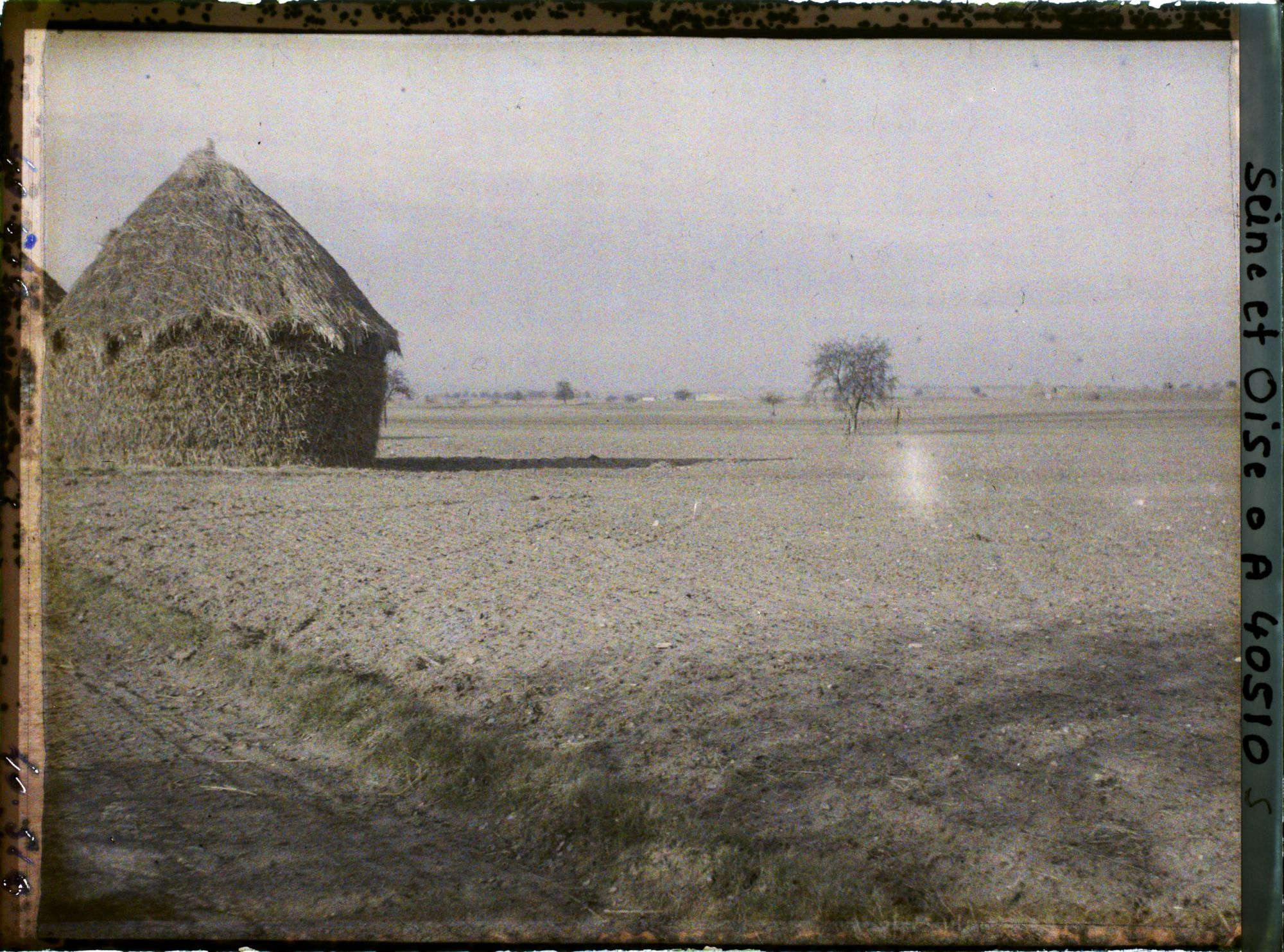 Image représentant France, Les Clayes, Champ de blé sur le bord de la grande route