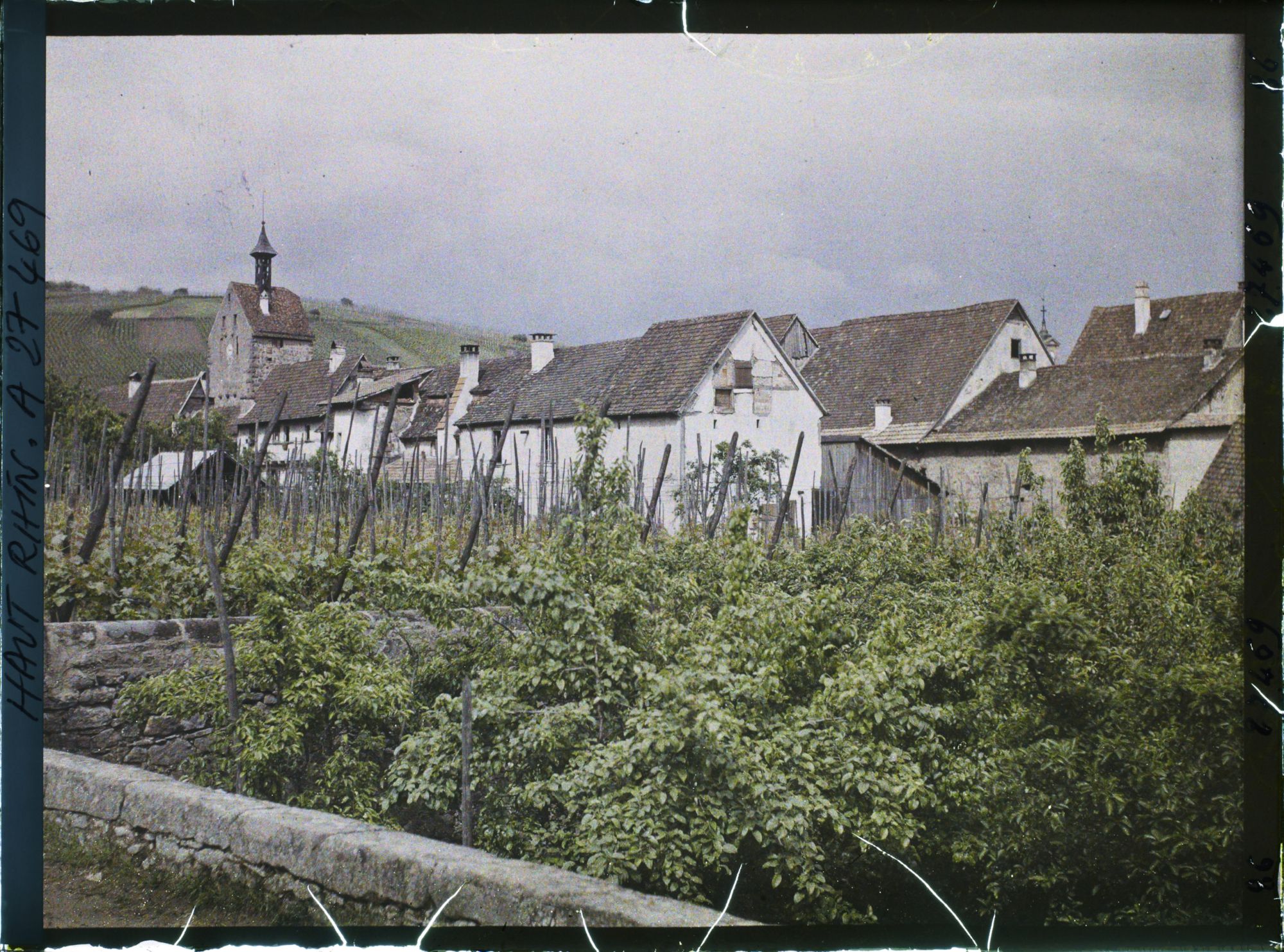 Image représentant France, Riquewihr, Les toits de Riquewihr
