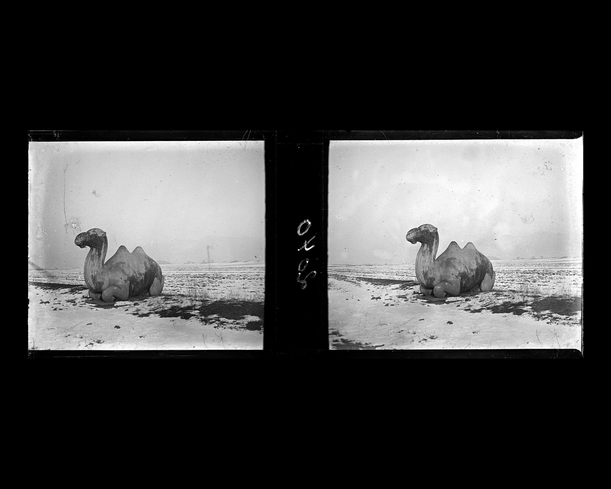 Image représentant Ming Shisanling ("Treize Tombeaux des Ming"). L'un des deux chameaux assis de l'allée des statues