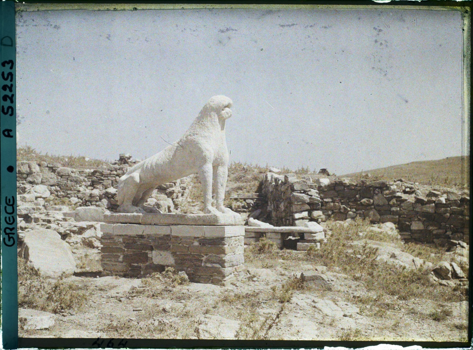 Image représentant Une lionne