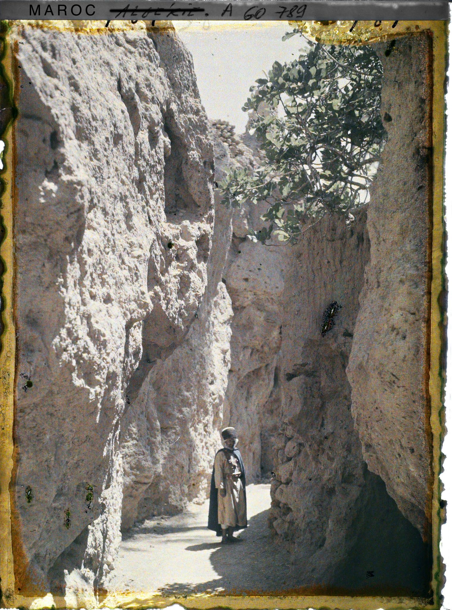 Image représentant Le chemin creux