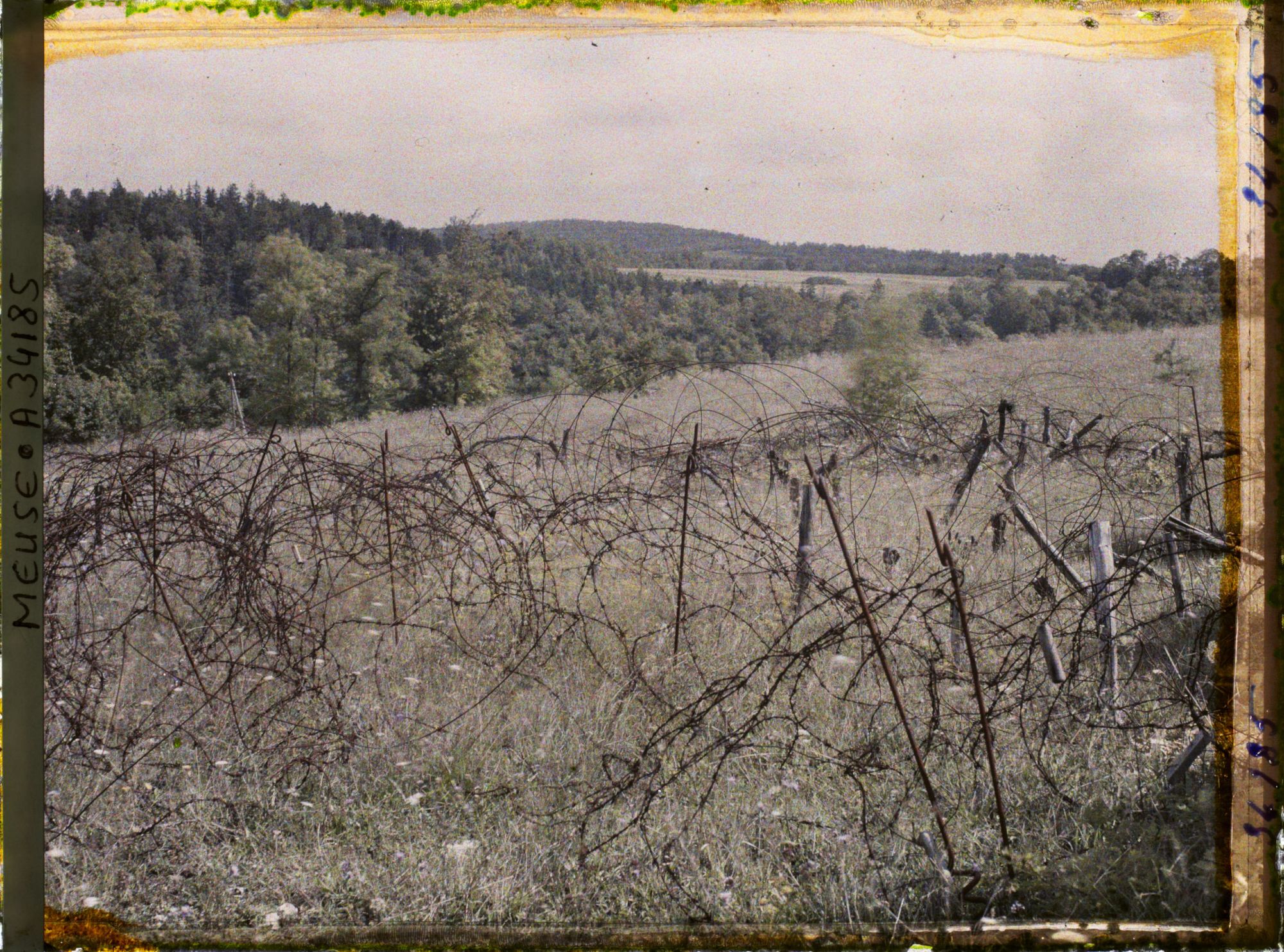 Image représentant France, Bois-Yuca, Défenses à la lisière du bois vers le ravin d'Apremont et le bois de la Corvée des Prêtres