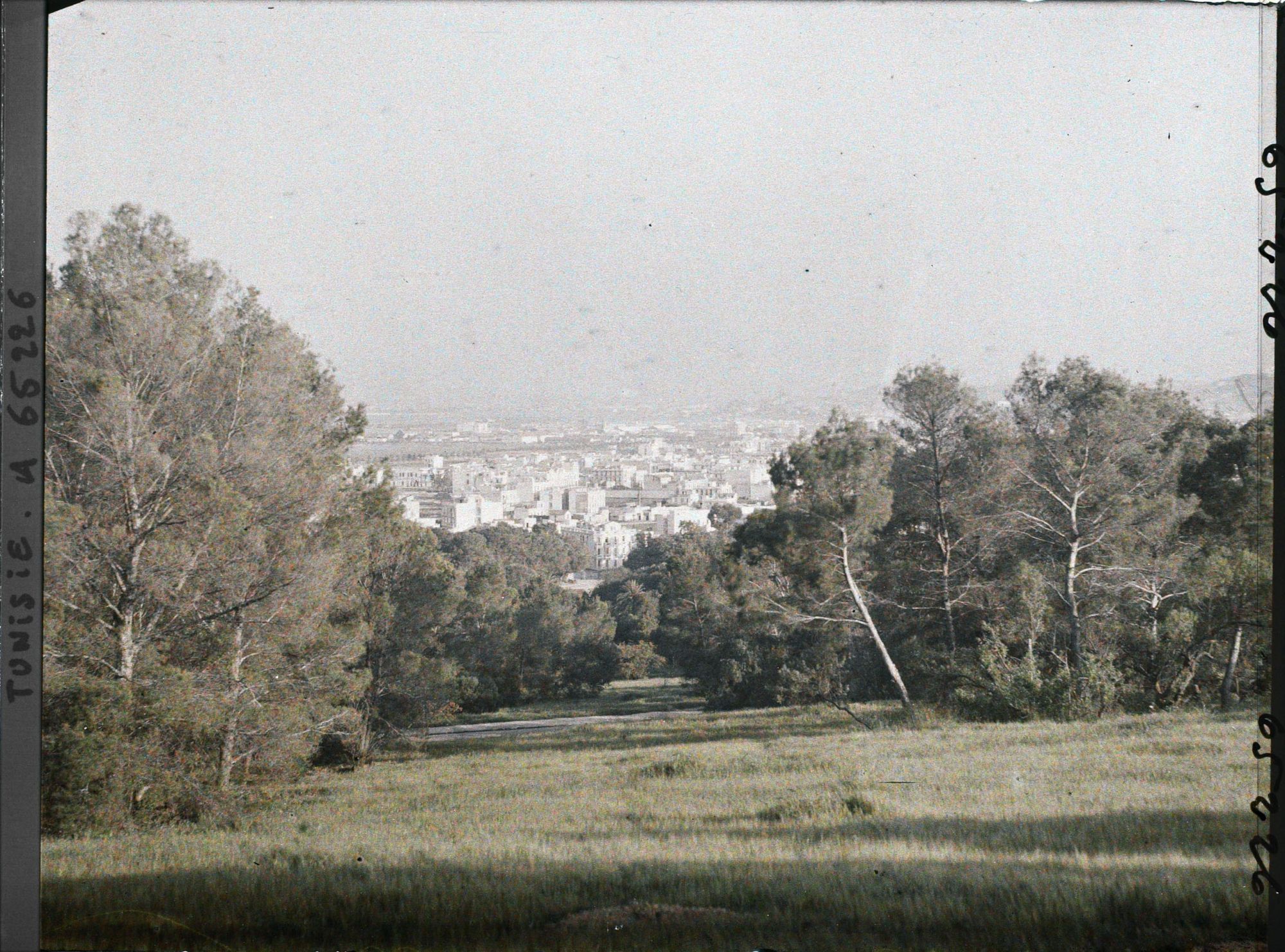Image représentant Panorama de la ville pris le soir