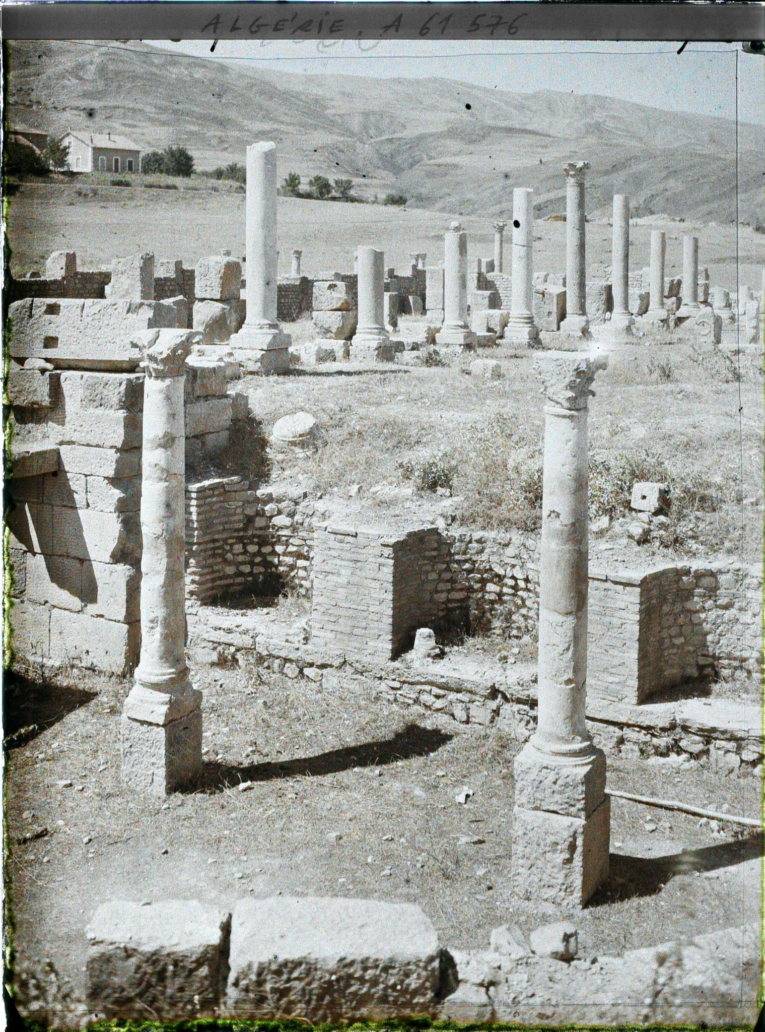 Image représentant Algérie, Djemila, Grande Basilique de Crescorius (Ve S.) la crypte