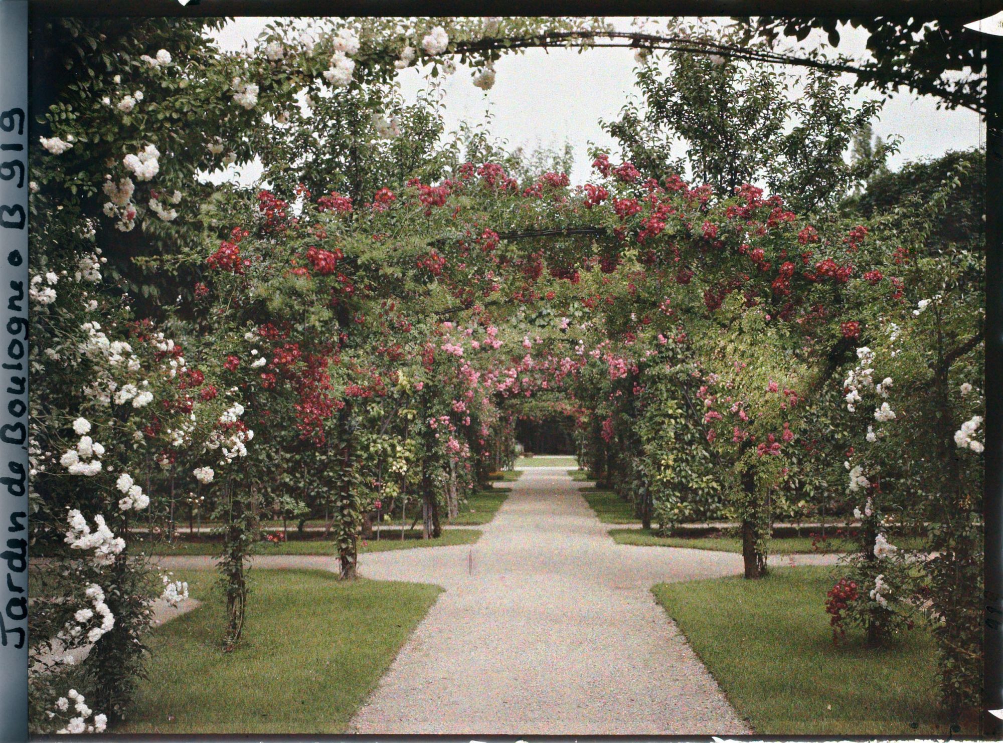 Image représentant Axe central du verger-roseraie vu en direction du jardin anglais, après le rond-point côté dépendance