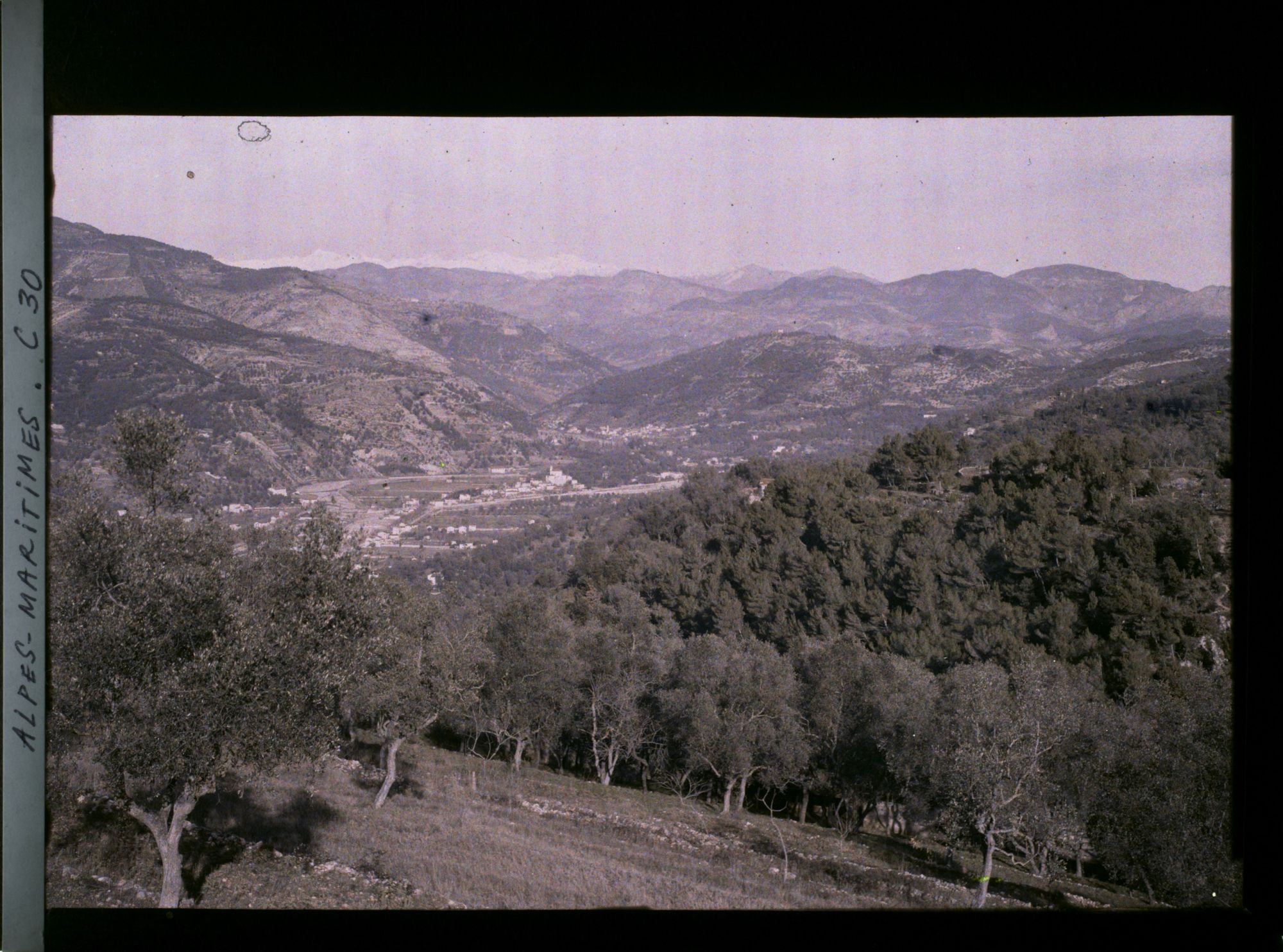 Image représentant Culture en terrasses face à la vallée du Paillon ?