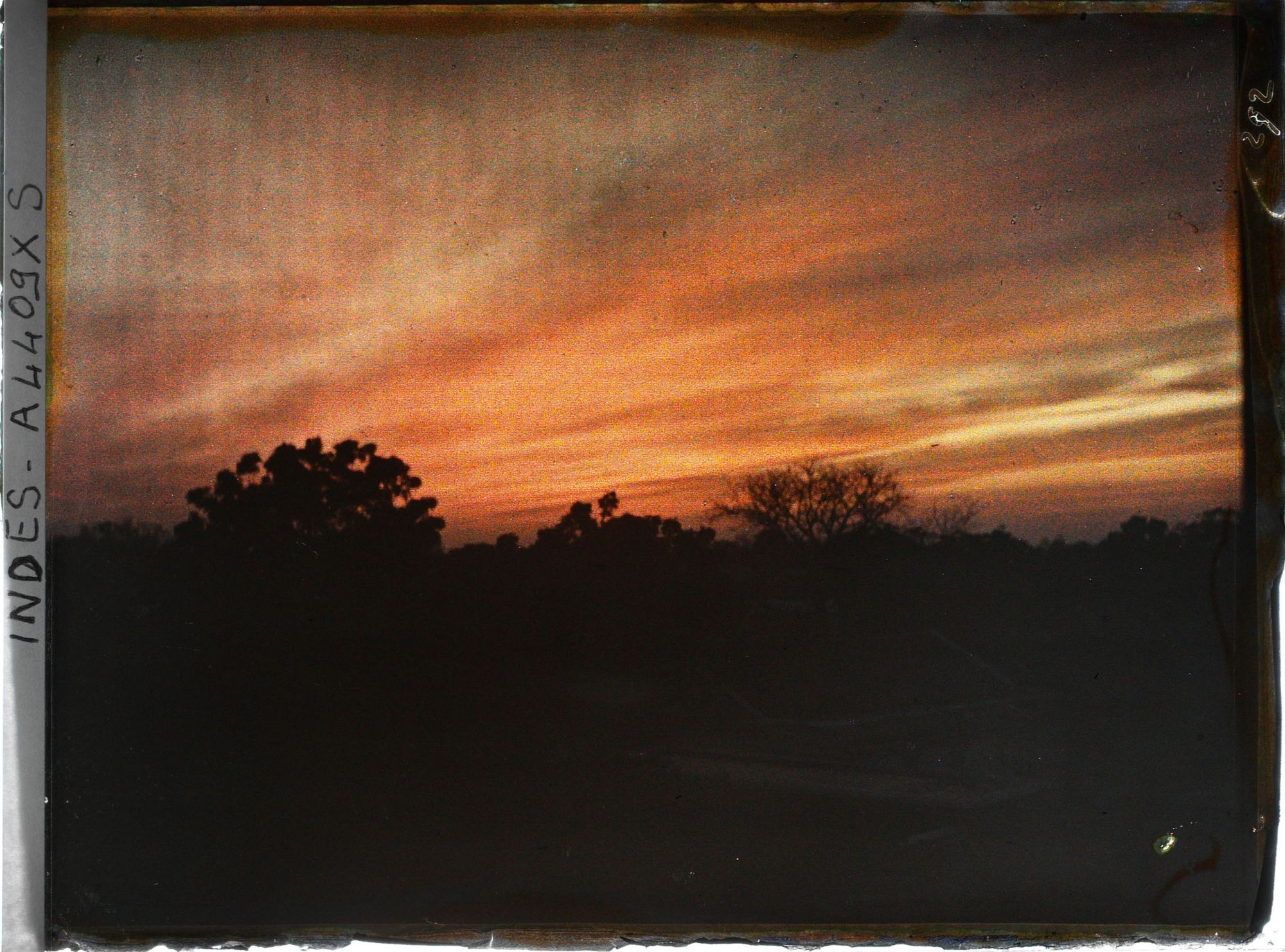 Image représentant Indes, Lahore, Coucher de soleil