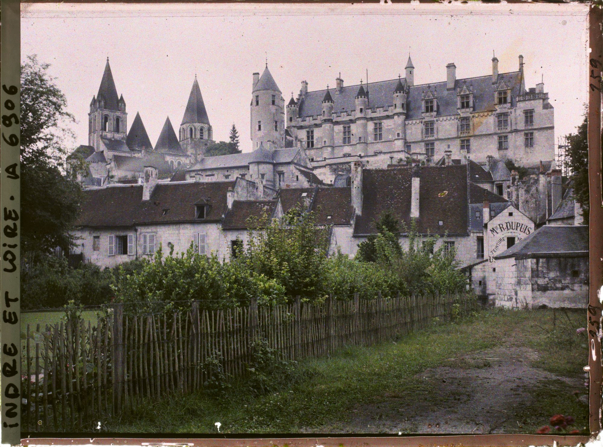 Image représentant Les maisons dominées par la collégiale Saint-Ours et le logis royal du château
