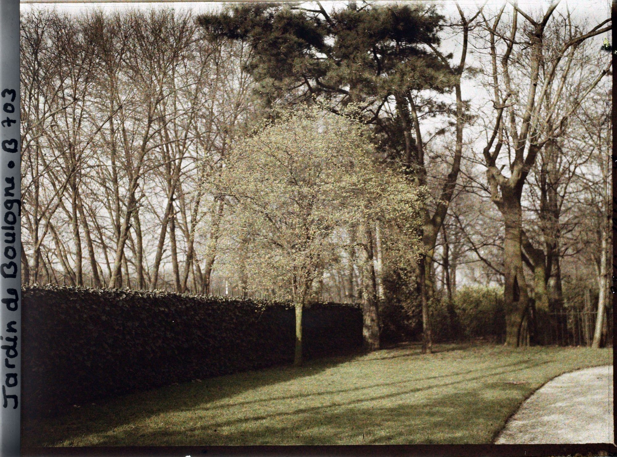 Image représentant Pelouse bordant la cloture de la propriété du côté du quai du Quatre-Septembre