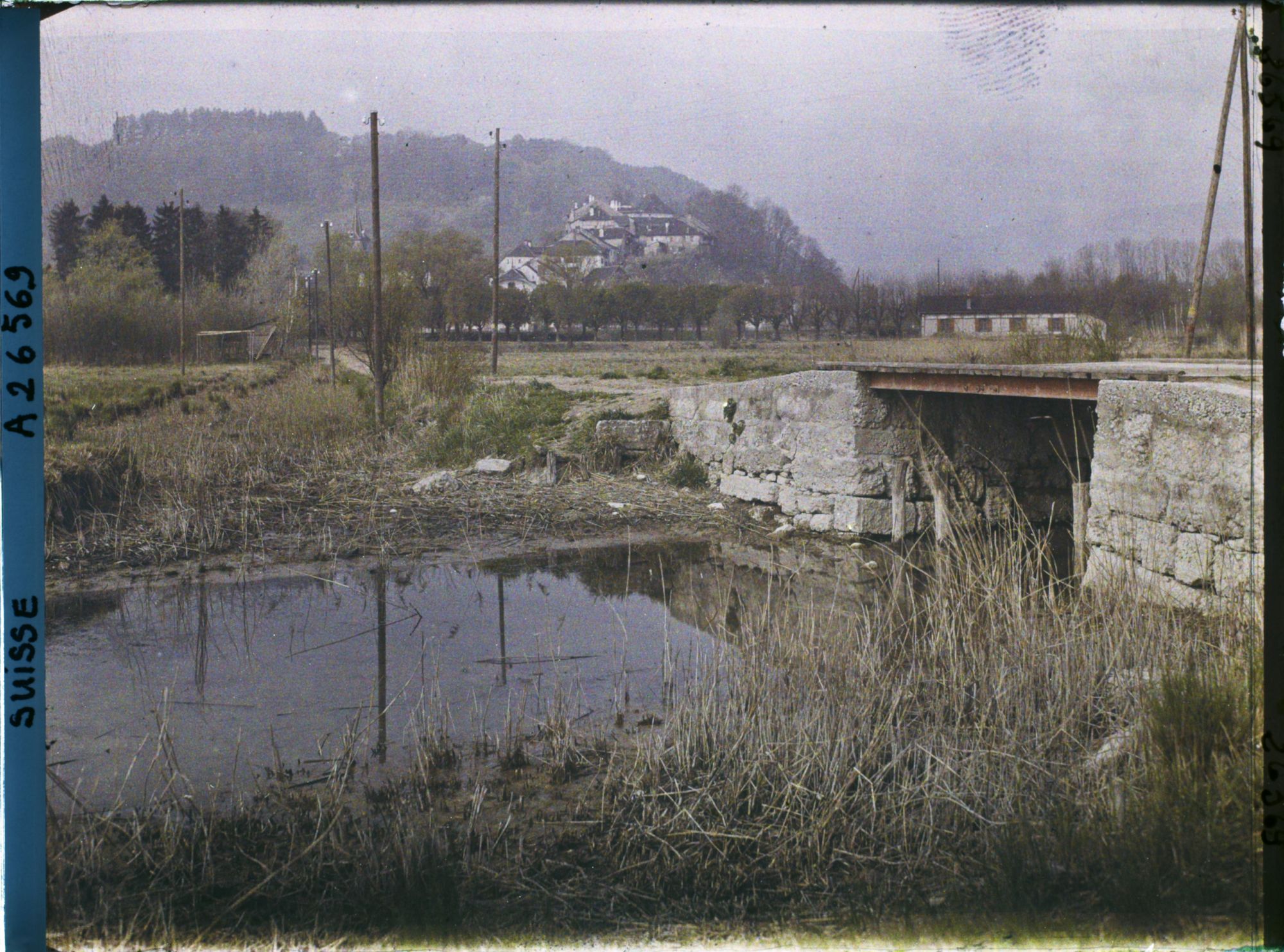Image représentant La route de l'île Saint-Pierre et le château de Cerlier