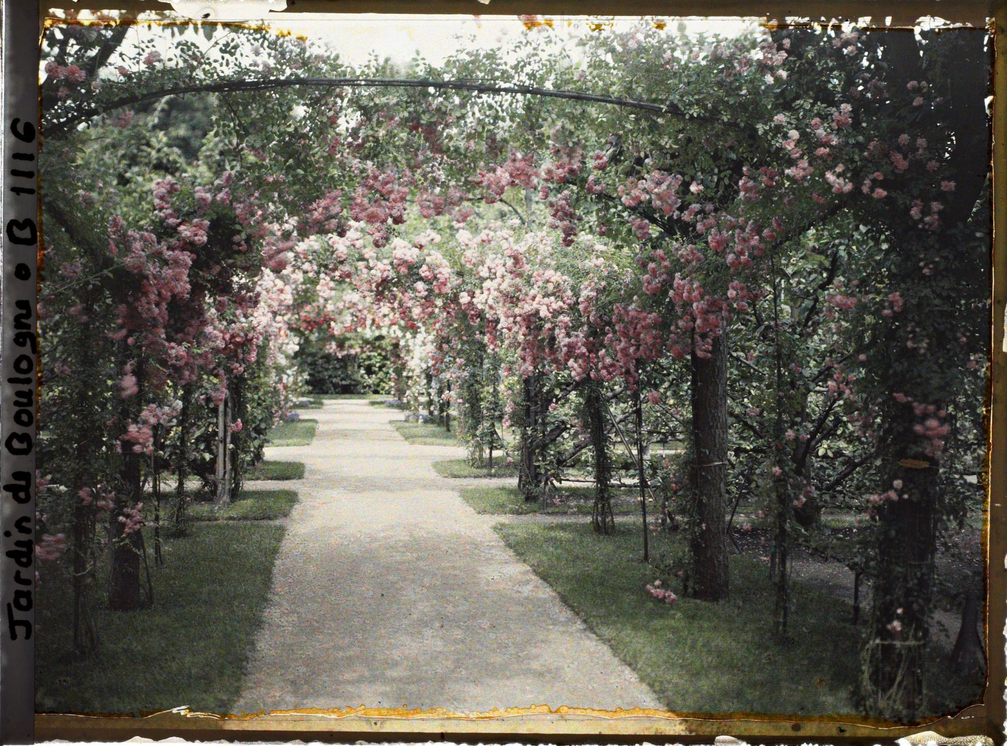 Image représentant Axe central du verger-roseraie vu vers la dépendance, après le rond-point proche du jardin français