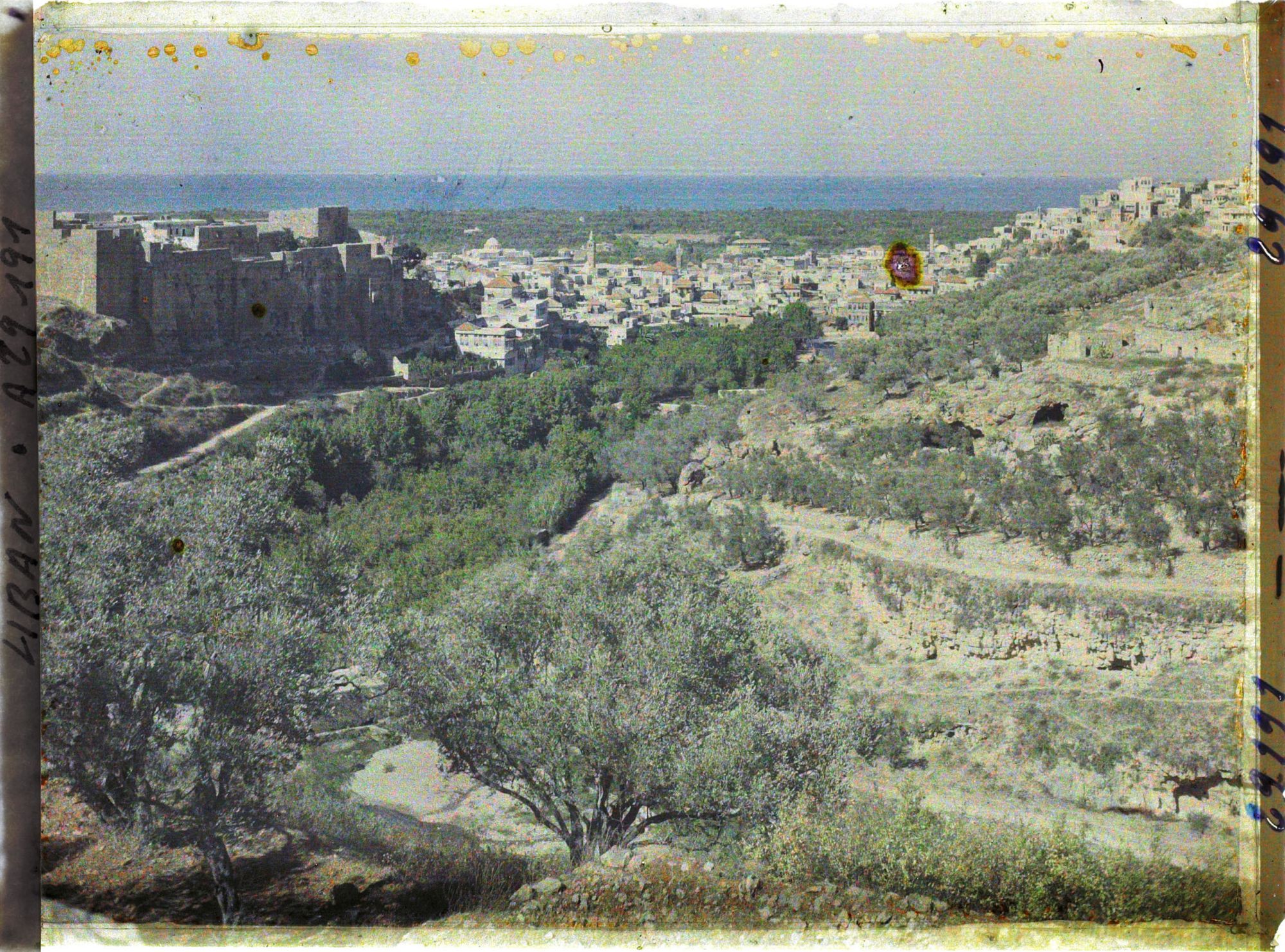 Image représentant Panorama de la ville avec le Château de Saint-Gilles