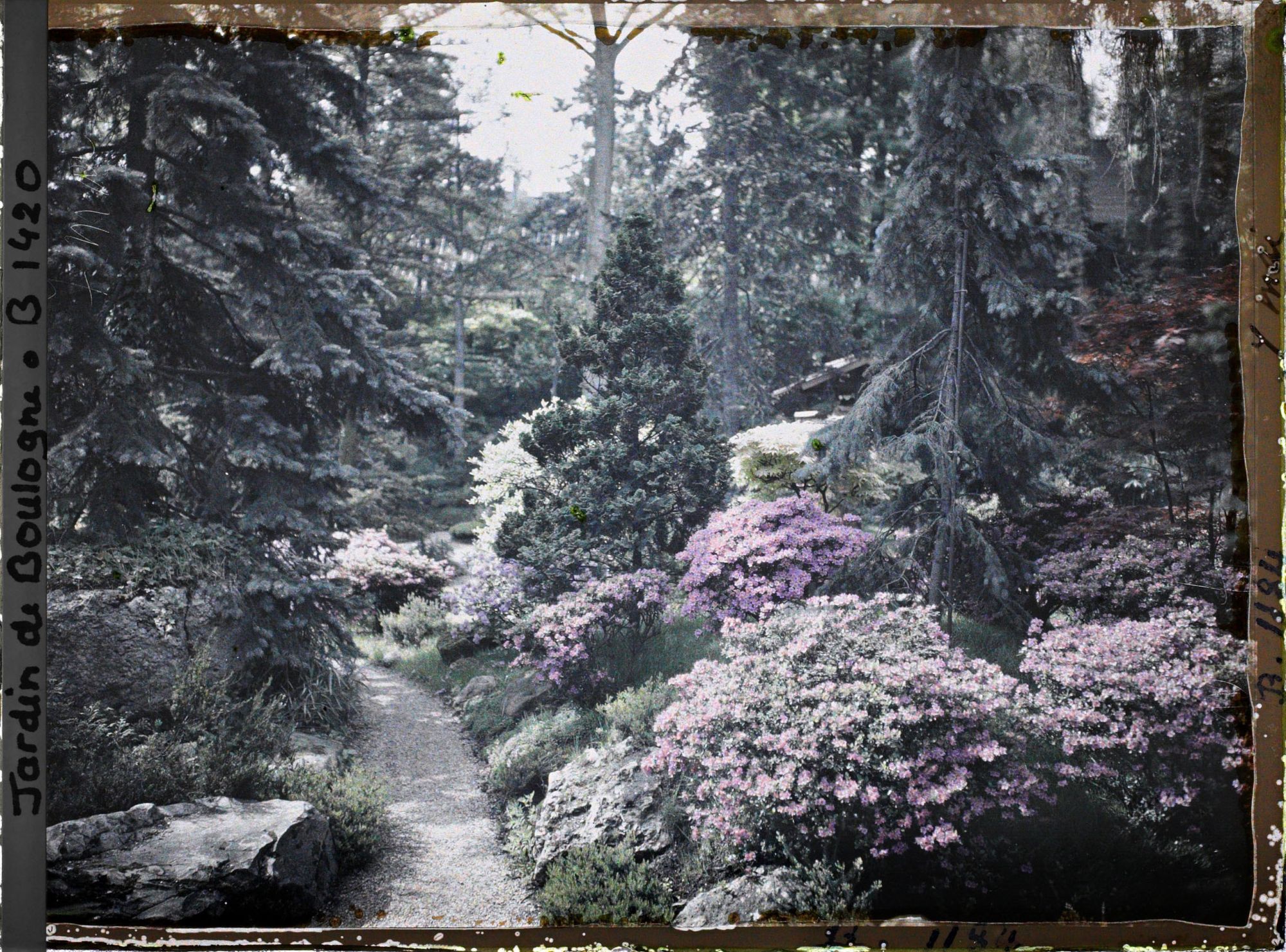 Image représentant Chemin du " village japonais " proche de la porte ouvrant sur le " sanctuaire japonais "
