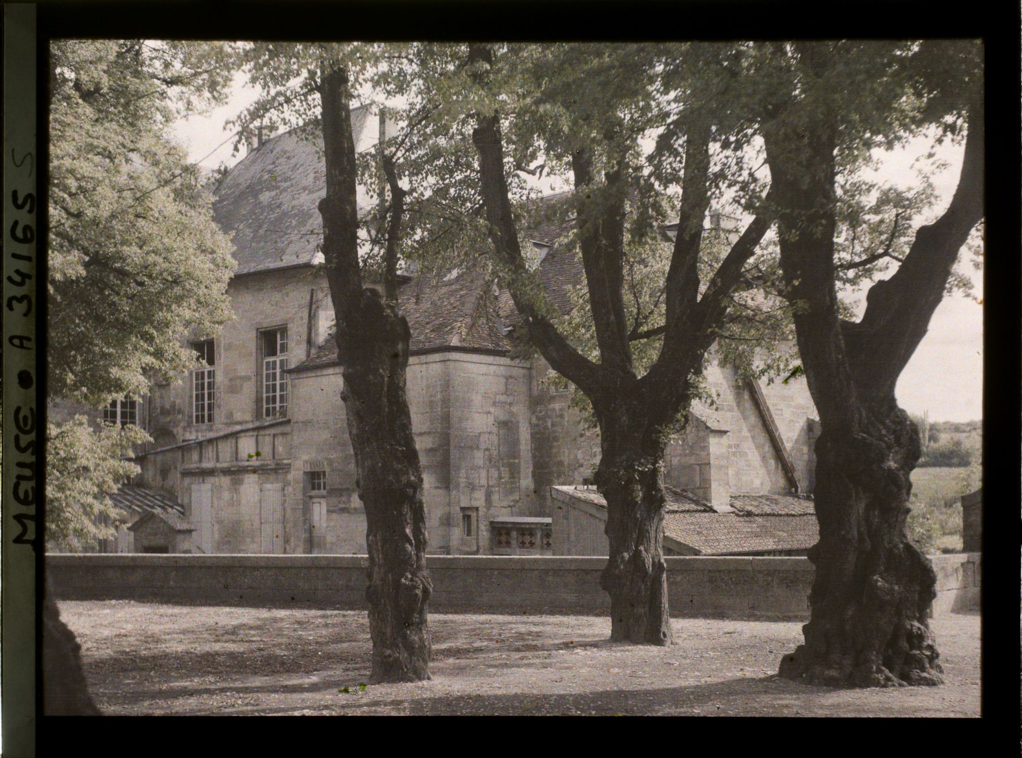 Image représentant France, Bar-le-Duc, Les tillleuls de la promenade de Paquis