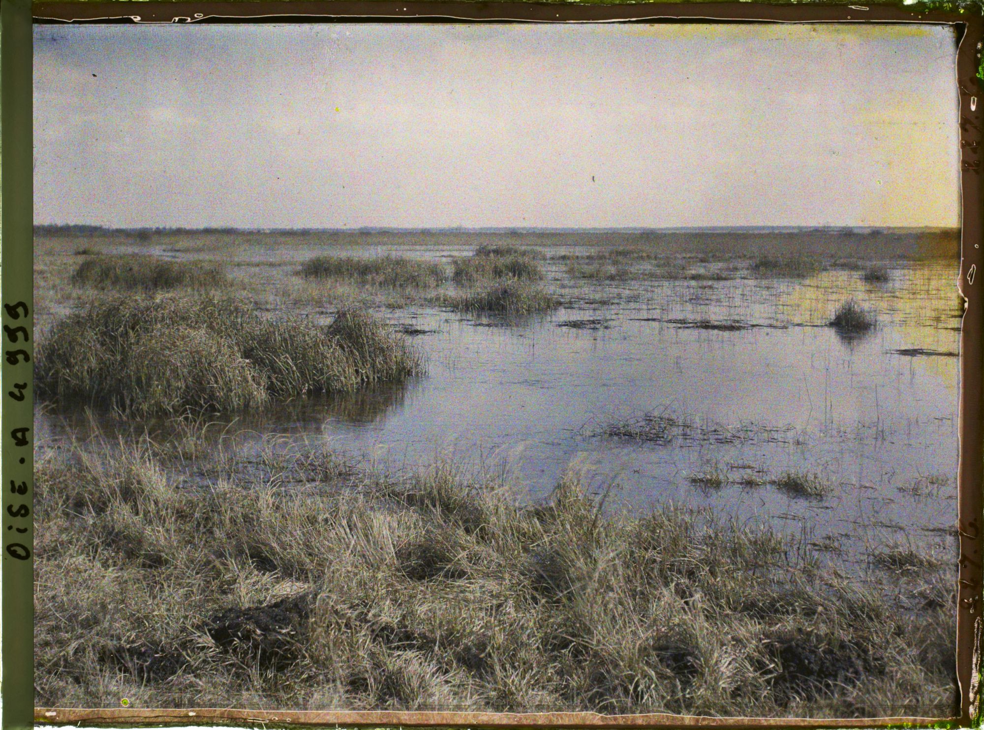 Image représentant Les marais de Saint-Gond