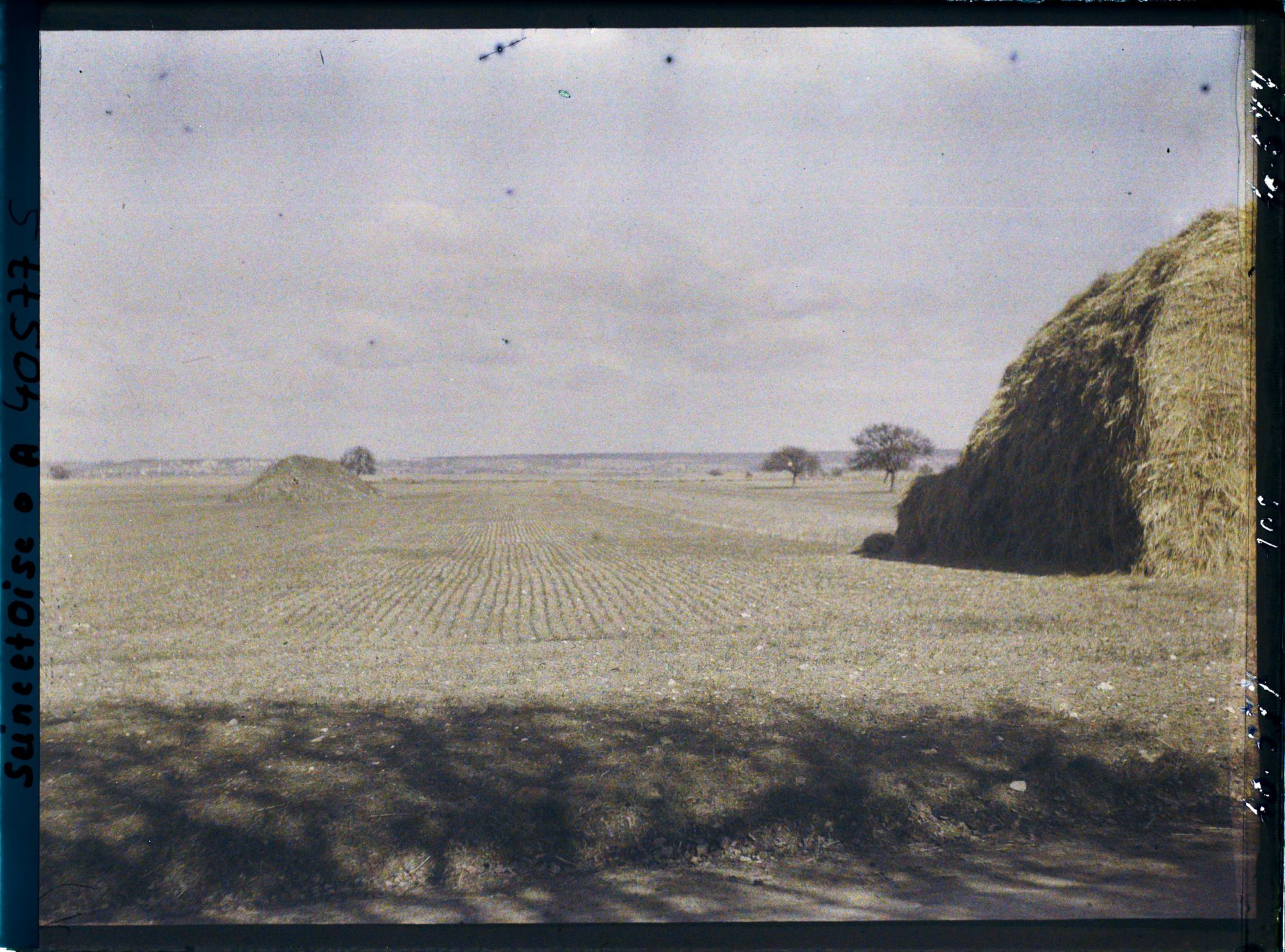 Image représentant France, Les Clayes, Champ de blé sur la route de Neaupbe-le-Château