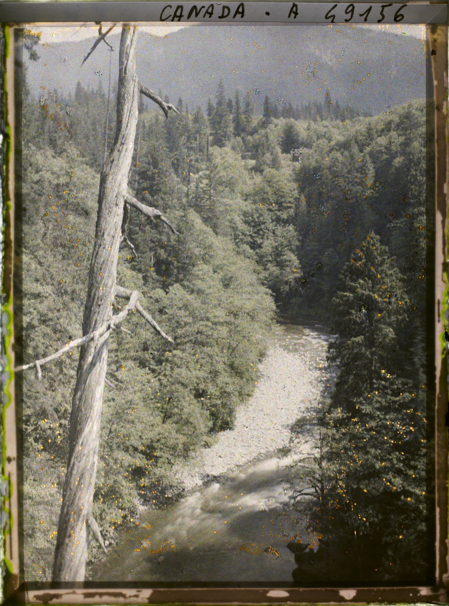 Image représentant Canada, Vancouver, Capilane Canyon, Le 2e Canyon amont