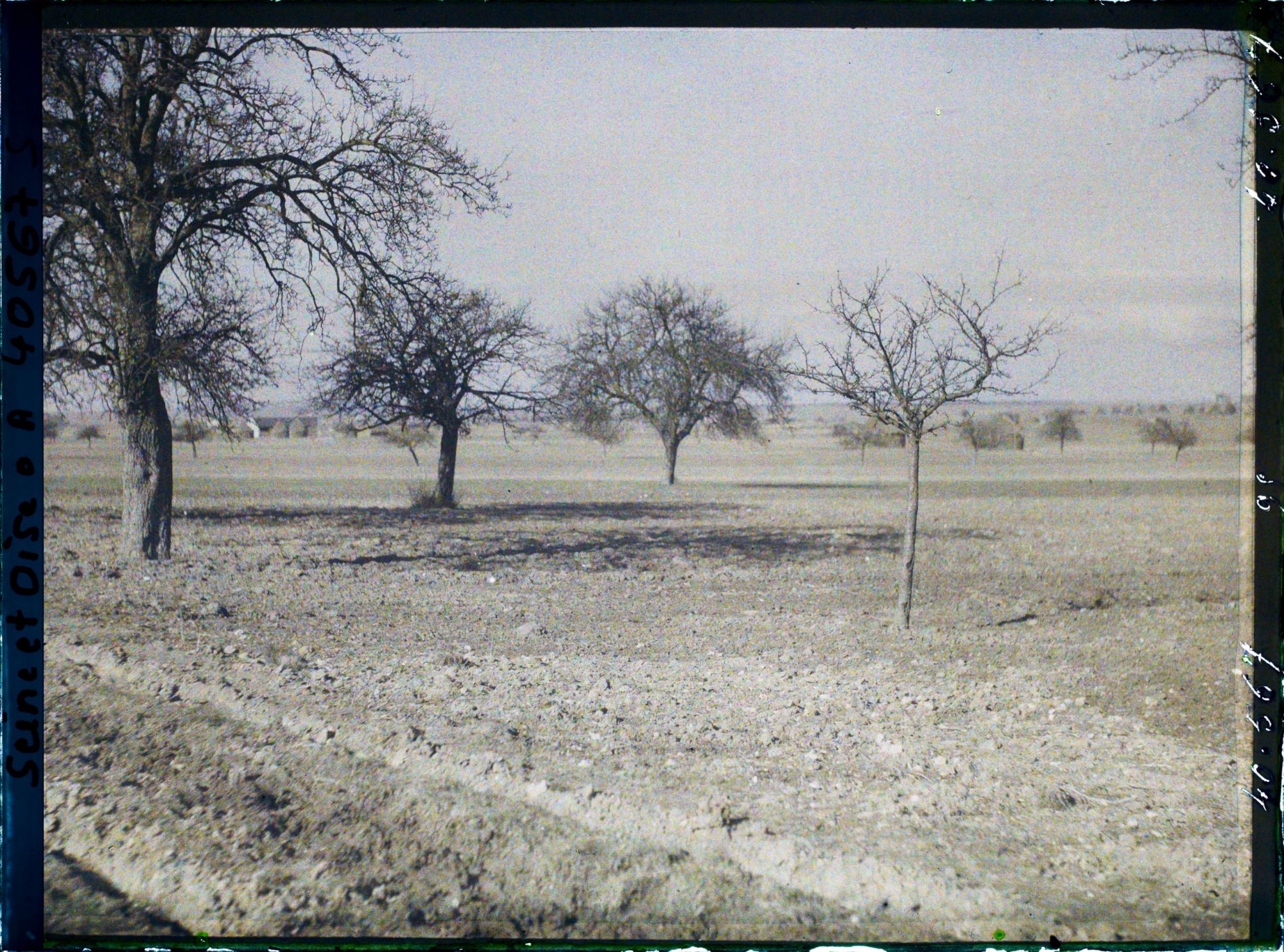 Image représentant France, Les Clayes, Champs et Pommiers