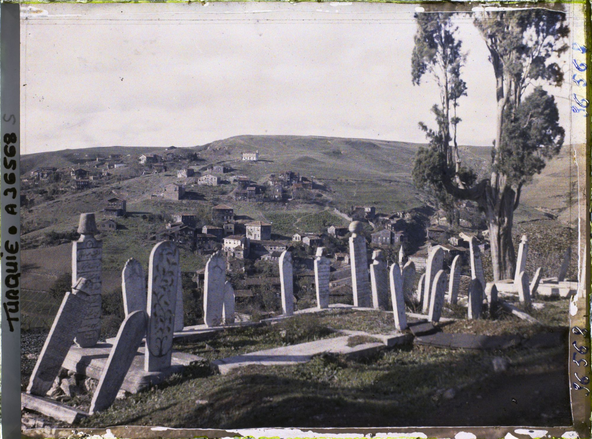 Image représentant Dalles et cippes funéraires du cimetière d'Eyüp et au fond, maisons