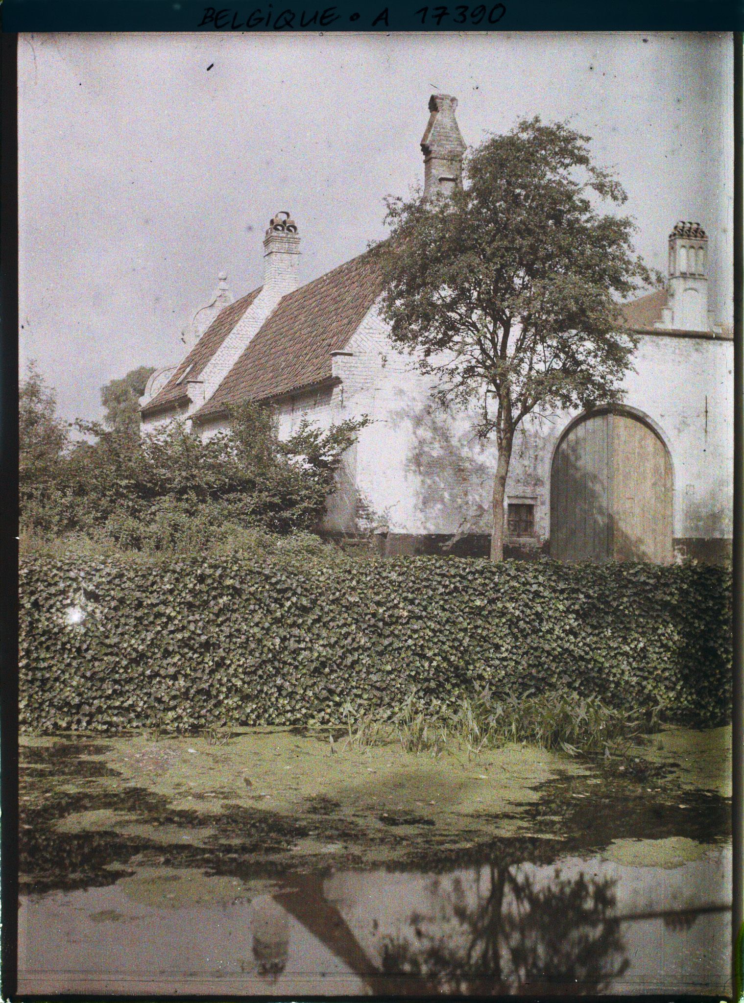 Image représentant Belgique, Bruges,  Vieilles Maisons sur le rempart Ste Catherine