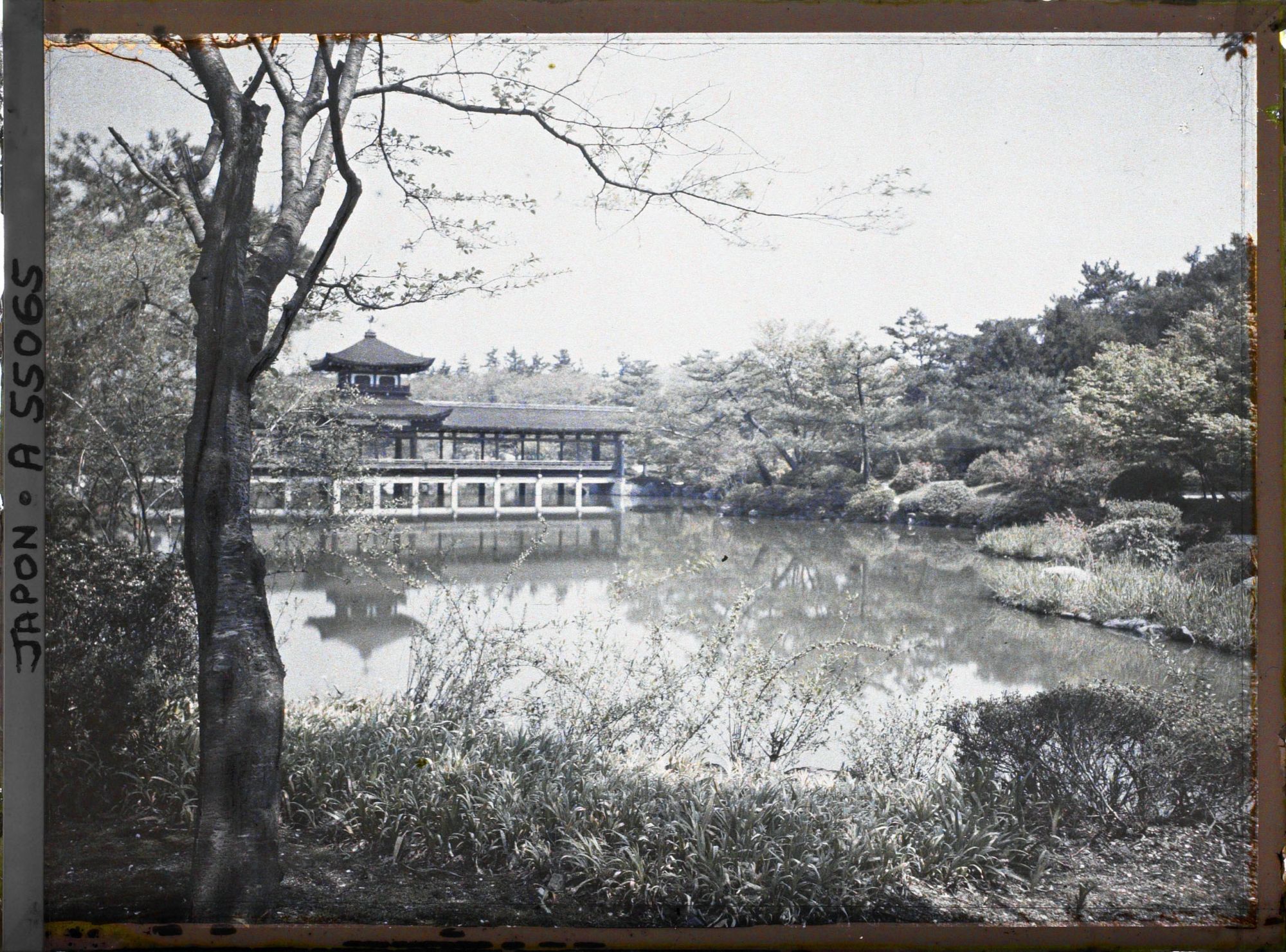 Image représentant Sanctuaire Heian-jinjû : étang et pont du jardin de l'Est.