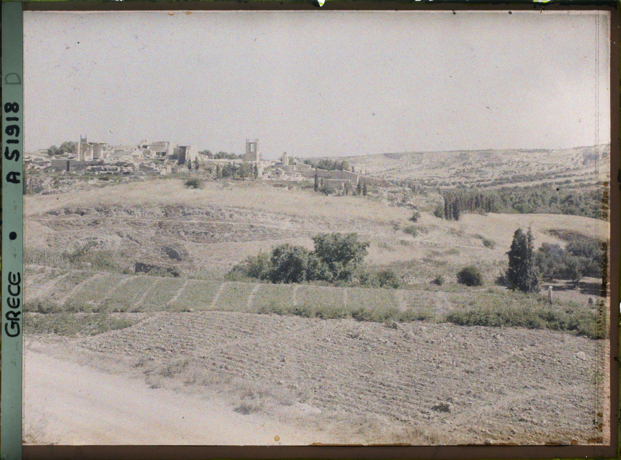 Image représentant Panorama vers l'ensemble des ruines du Palais