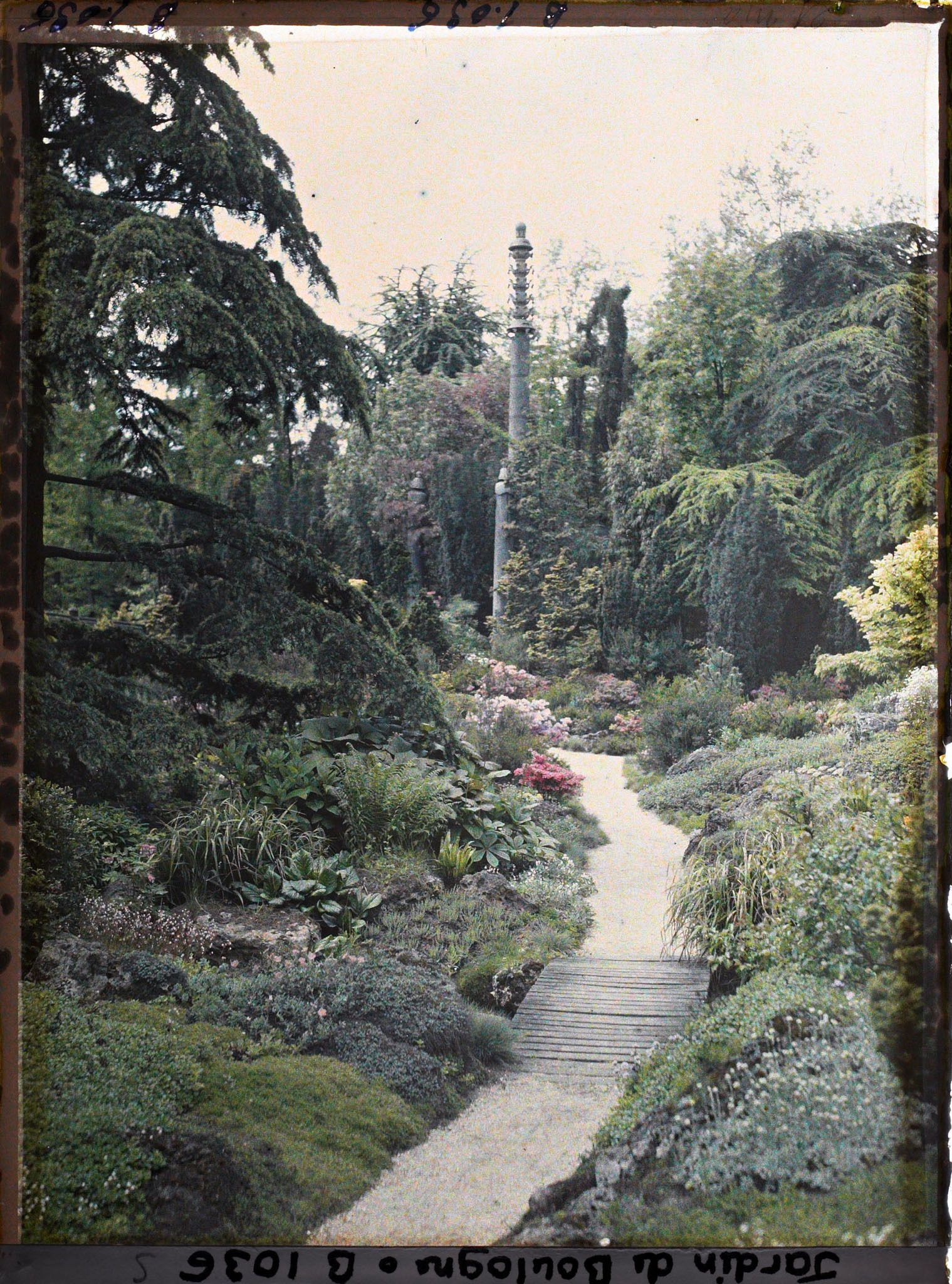 Image représentant Chemin du " sanctuaire japonais " menant au sorinto et rocaille fleurie ponctuée de conifères