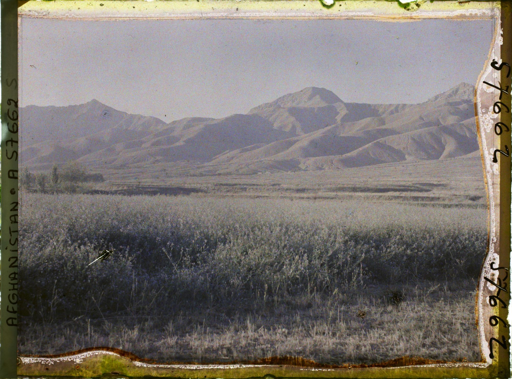 Image représentant Afghanistan, Argandé 25Kil. Sud de Kaboul, Chaîne de Montagnes dite Korok