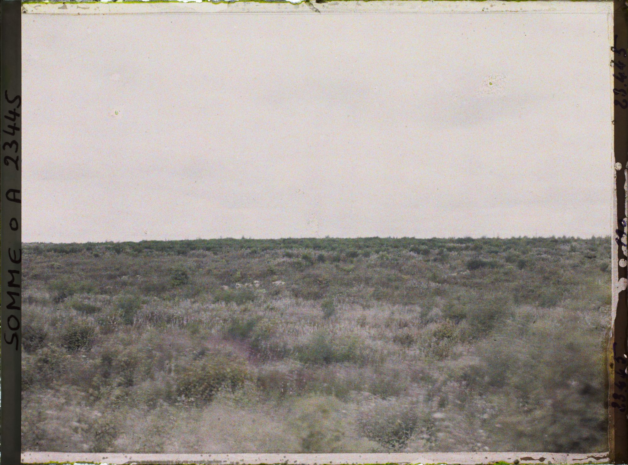 Image représentant France, Rancourt, Emplacement de Bois de St Pierre Vaast au N.E de Rancourt