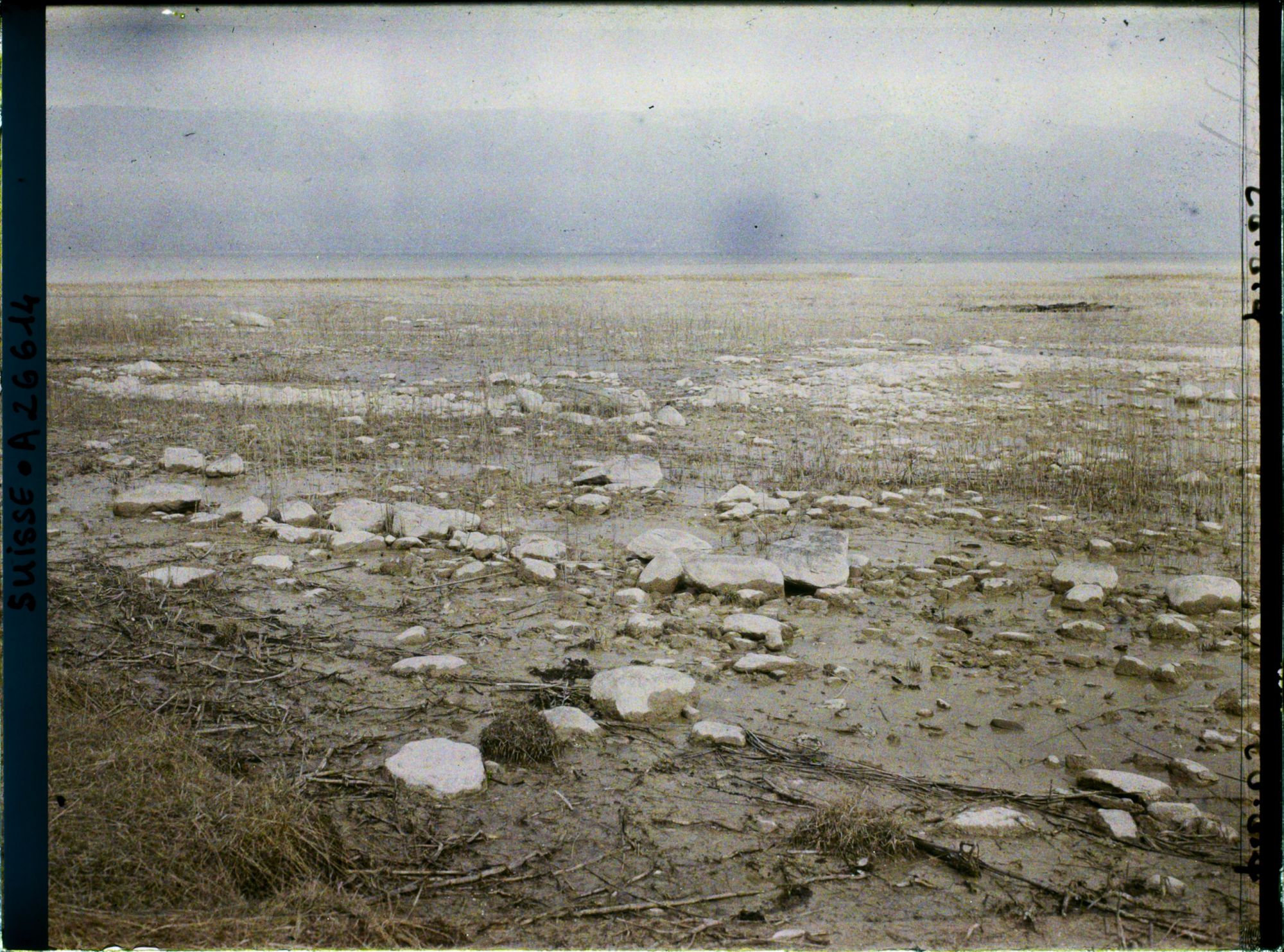Image représentant Site palafittique préhistorique des Alpes, pieux en bois visibles lors de la baisse des eaux après la grande sécheresse de 1921 sur le lac de Neuchâtel