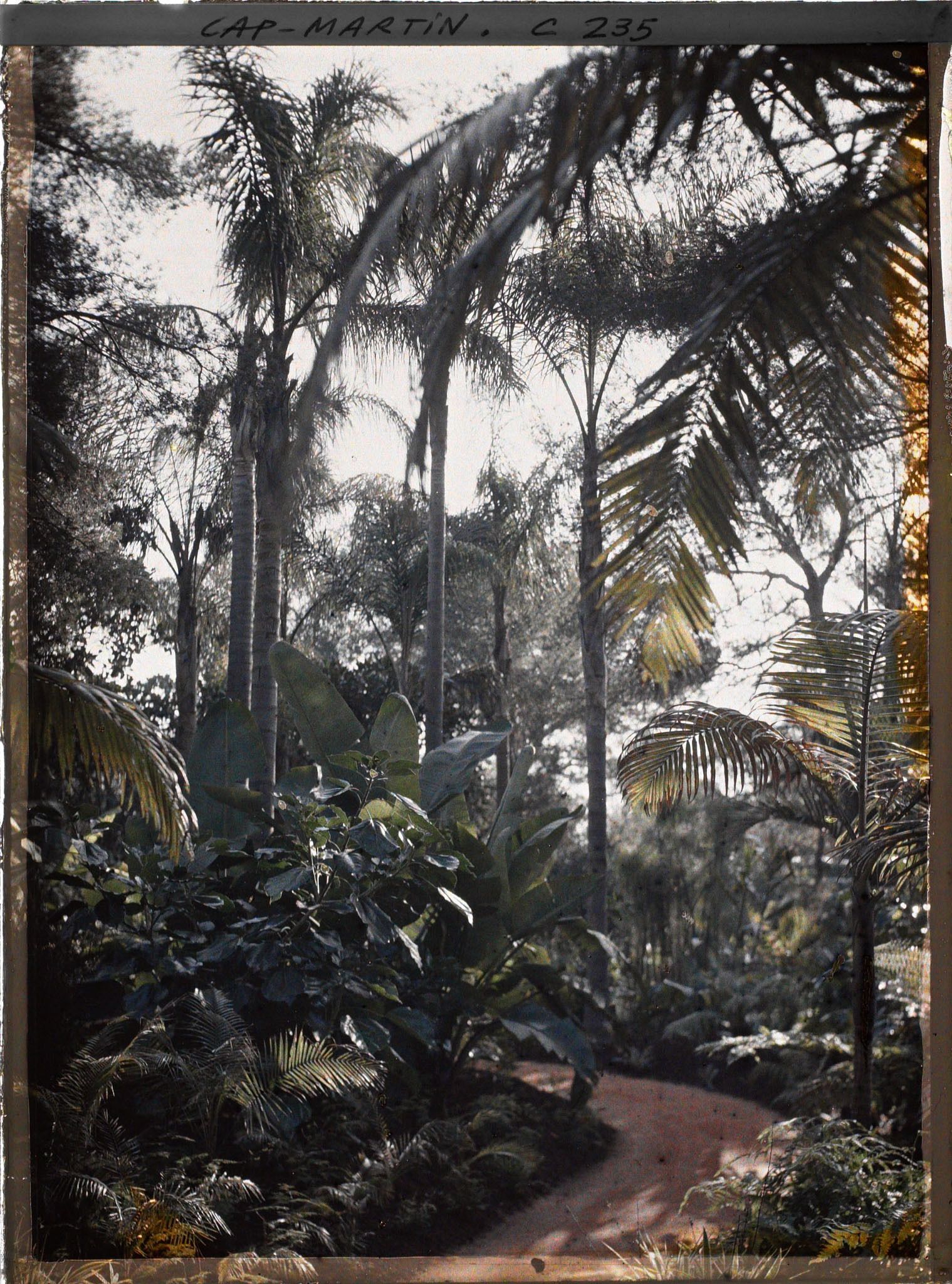 Image représentant Cap-Martin - Le Jardin