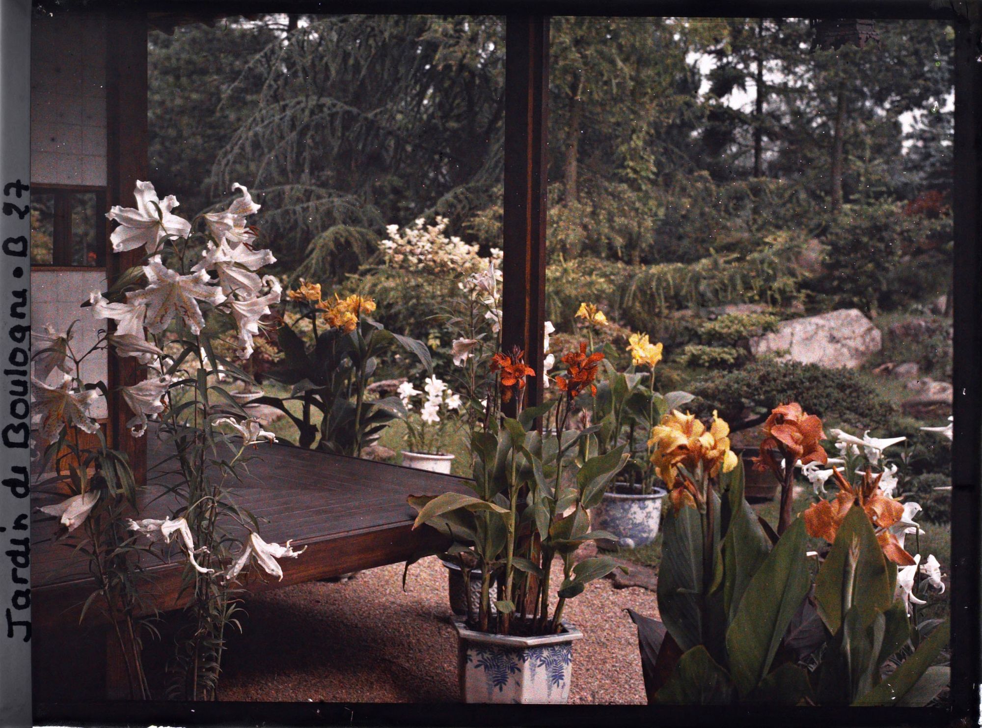Image représentant Lys blancs et cannas en pots fleuris, au pied de la maison ouest du " village japonais "