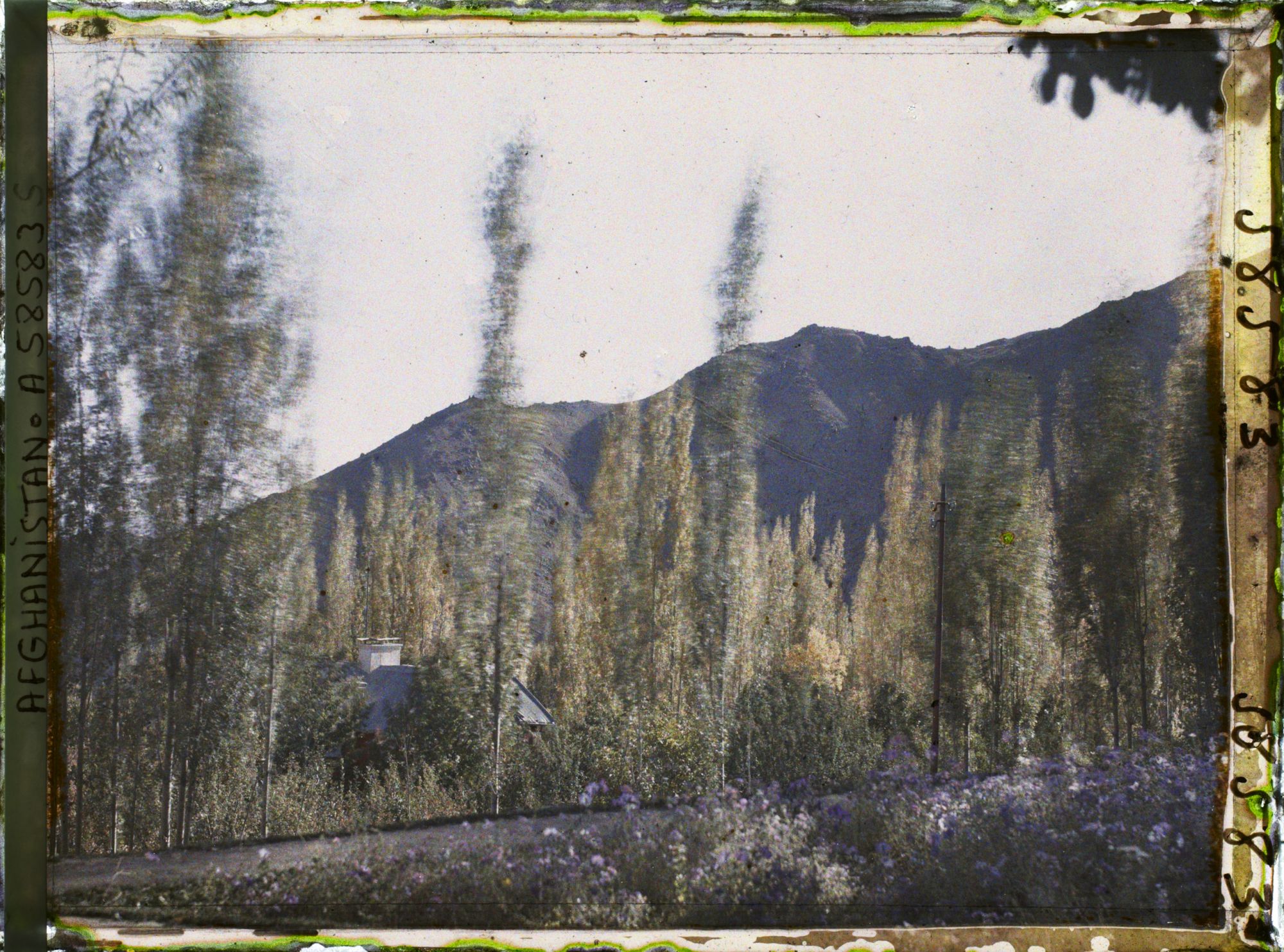 Image représentant Vue vers la chaîne de Paghman depuis le Jardin du Palais royal (Bâlâ Bâgh, "jardin d'en haut")