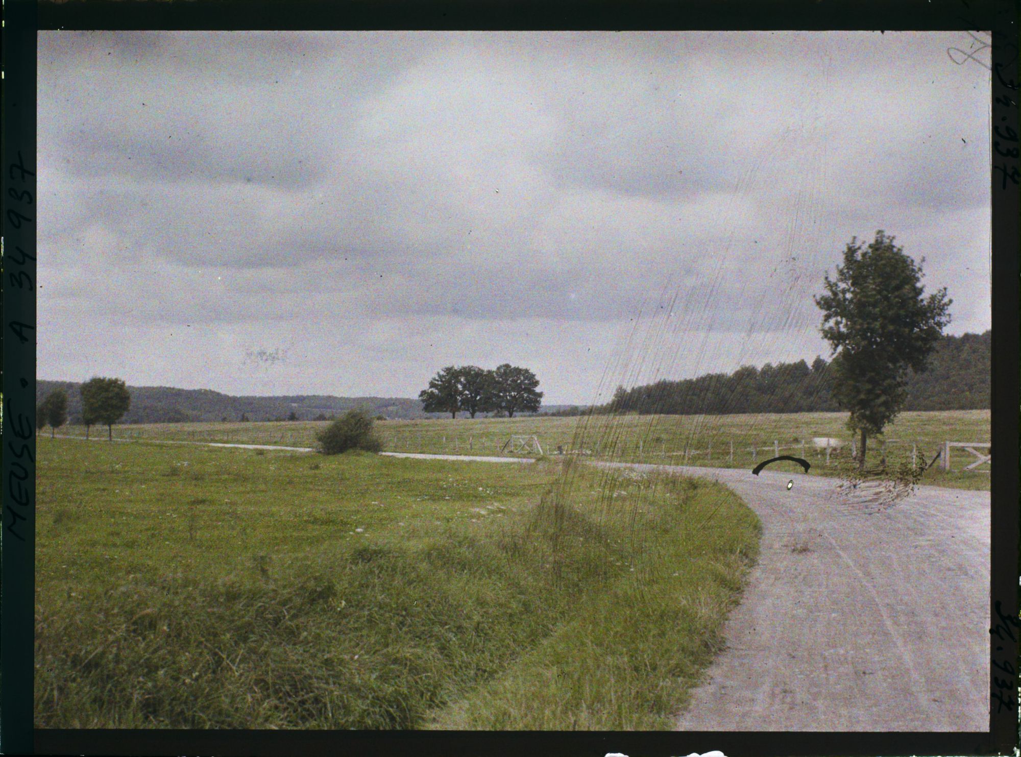 Image représentant France, Le Neufour, Vue des Islettes prise de la route du Claon
