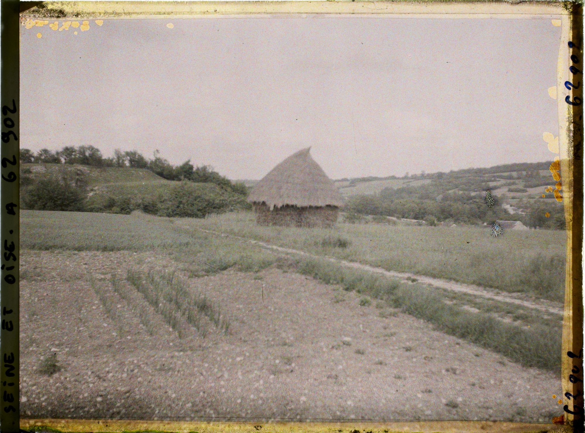 Image représentant Ile de France, Tessancourt, Jardins et blé
