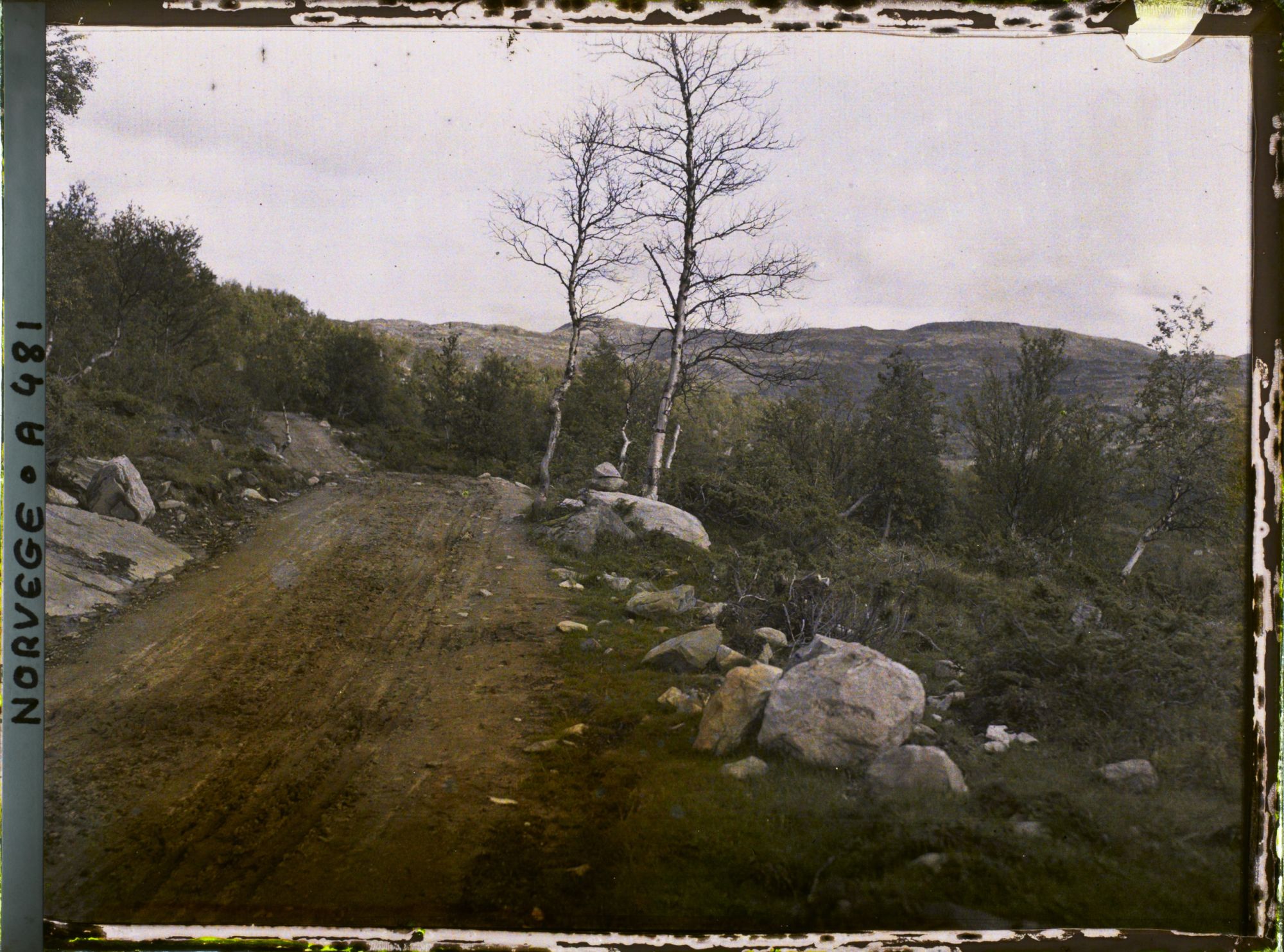 Image représentant sur la route