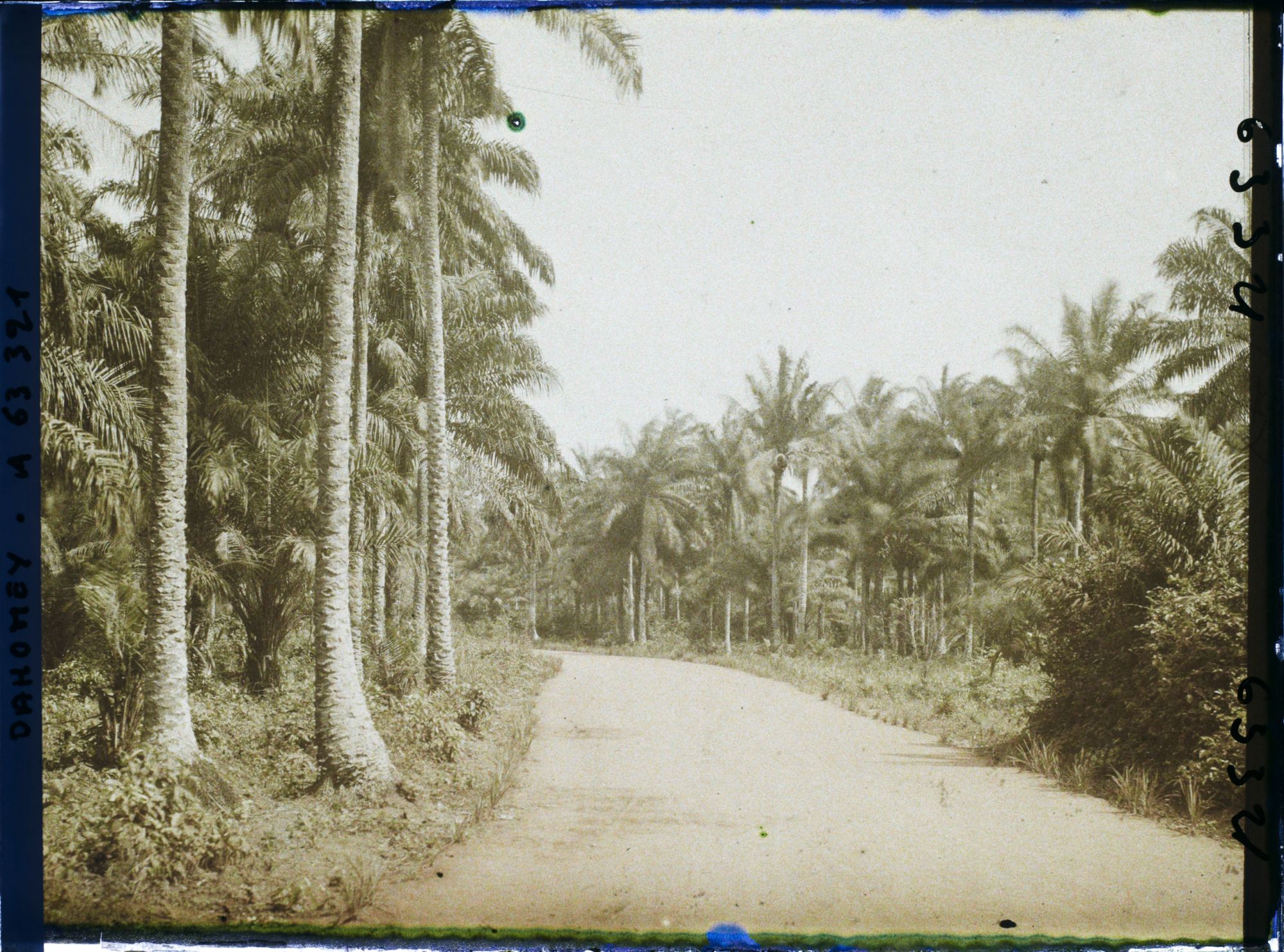 Image représentant La route de Daagbé