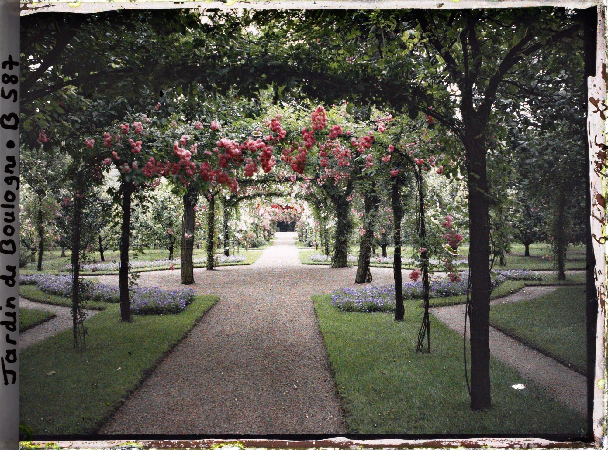 Image représentant Axe central du verger-roseraie photographié non loin de la dépendance, en direction du jardin anglais