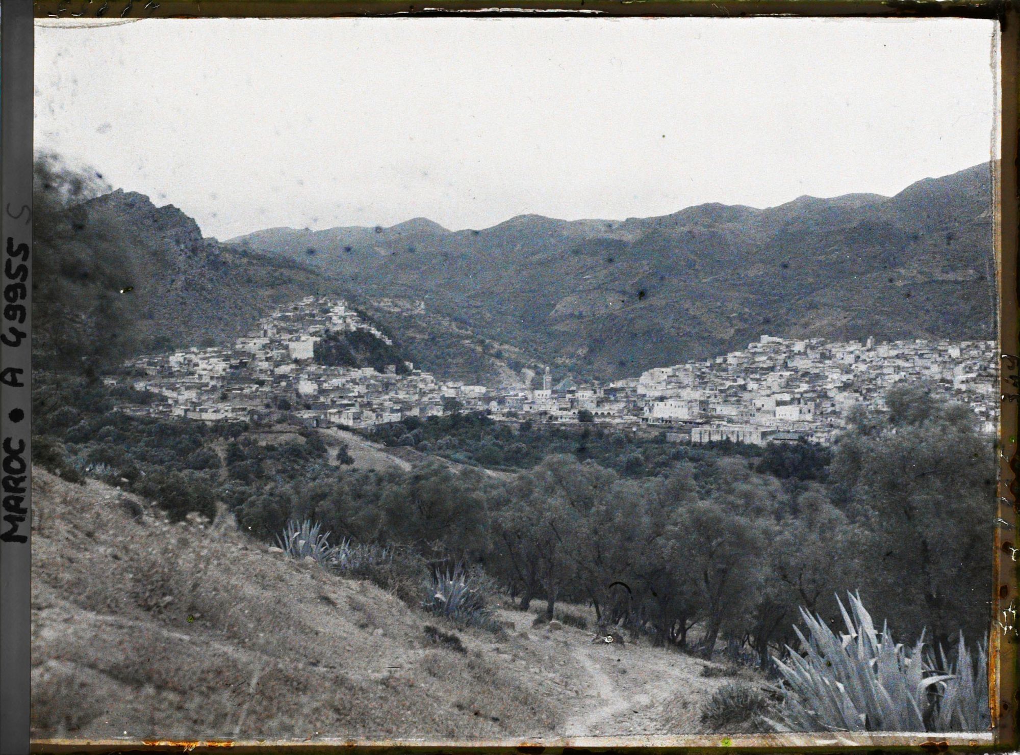 Image représentant Vue générale