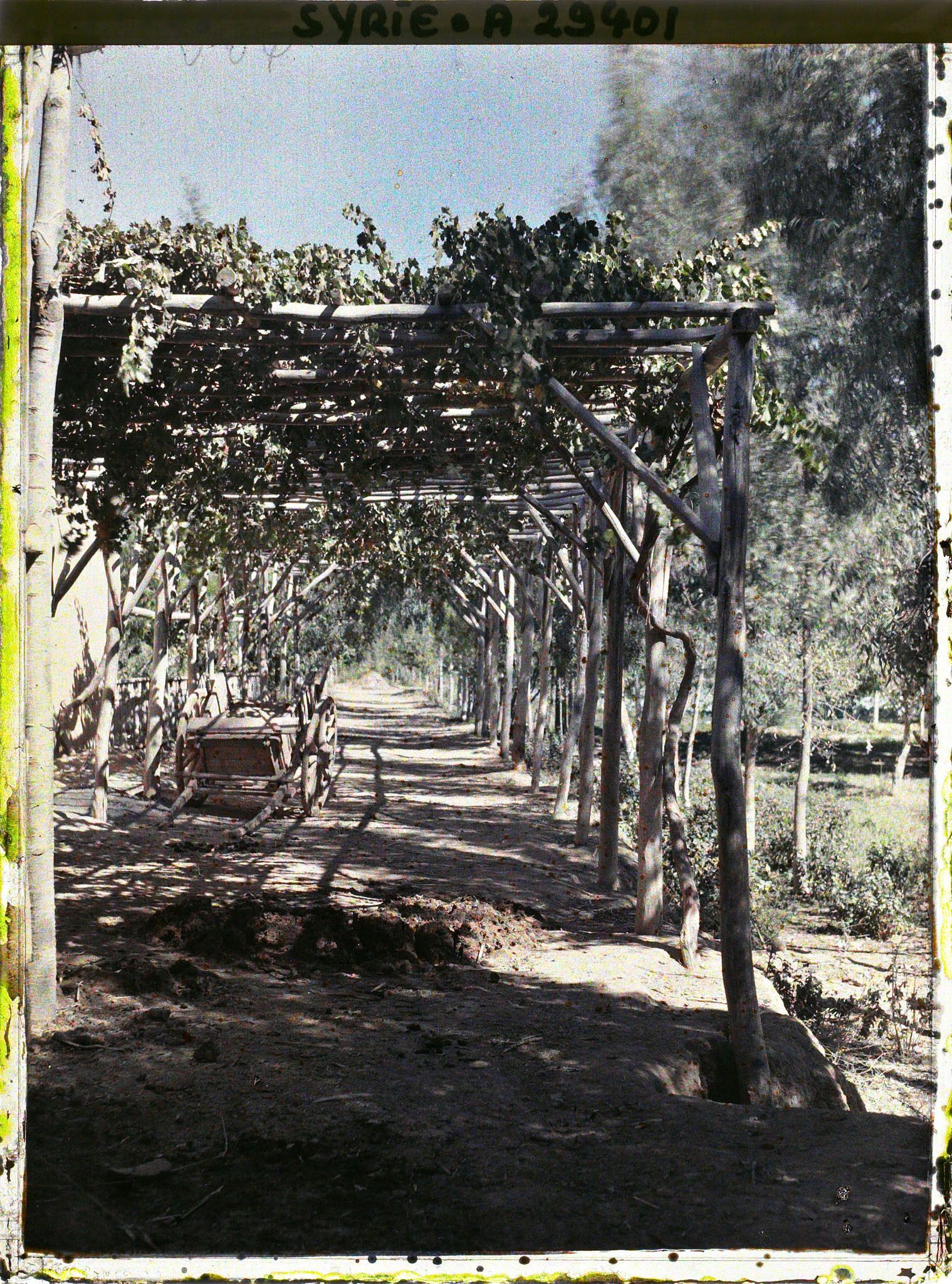 Image représentant Entrée d'une ferme