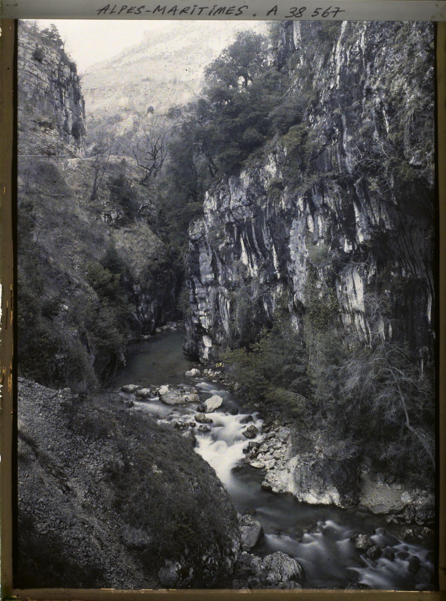 Image représentant Les gorges du Loup