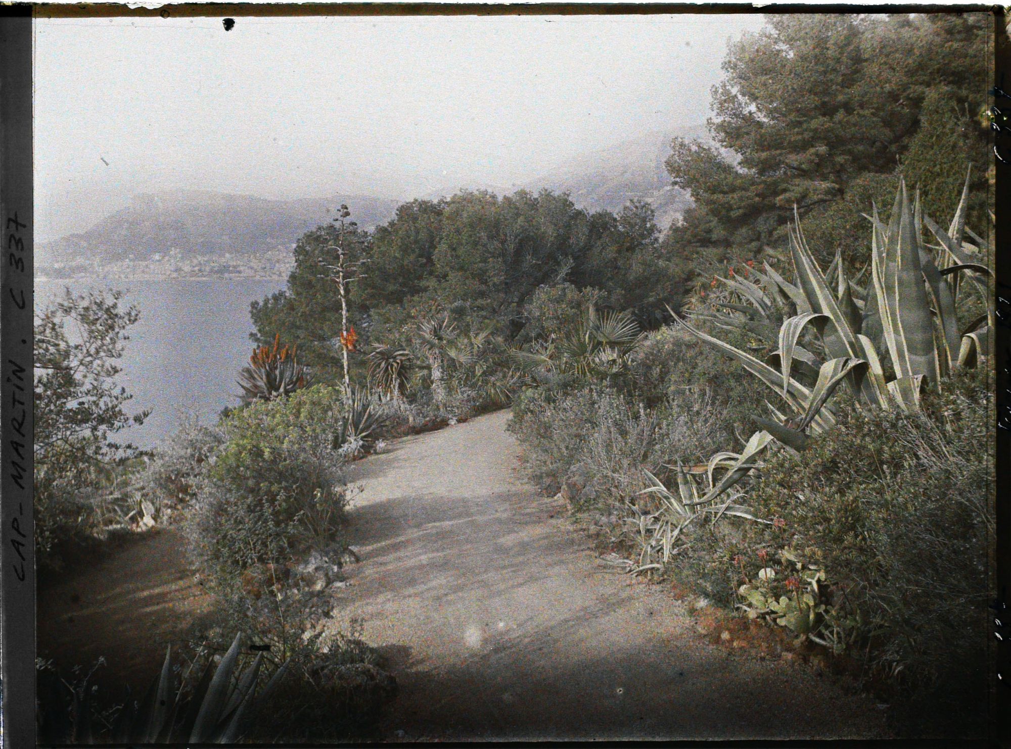 Image représentant Une allée du jardin avec Monaco à l'arrière-plan