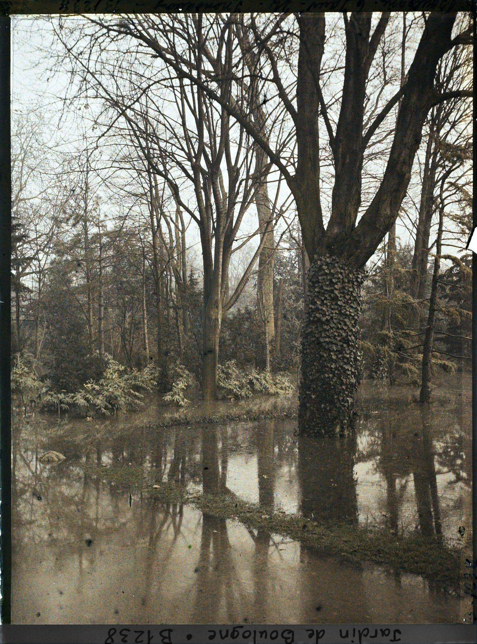 Image représentant La grande pelouse inondée