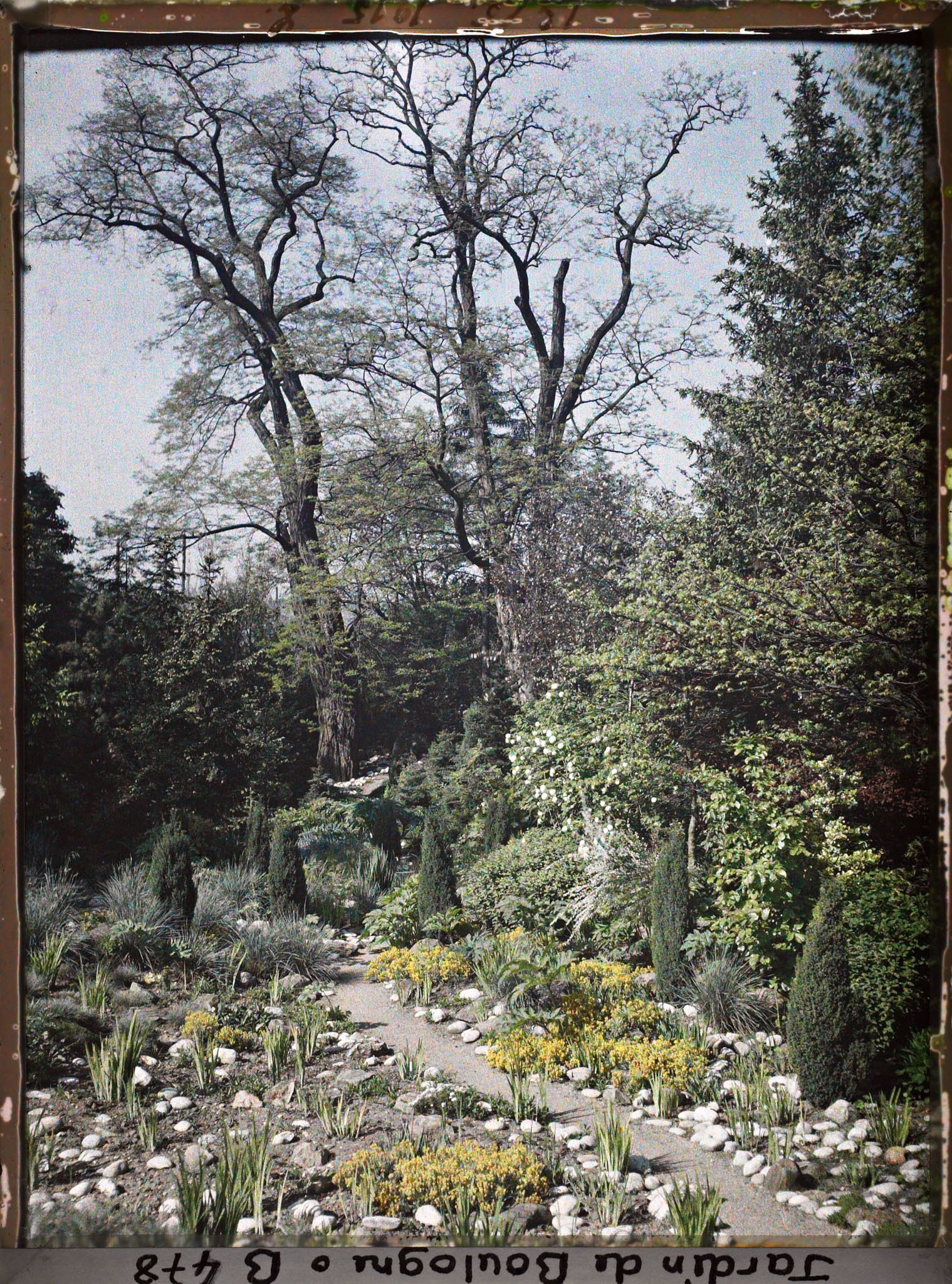 Image représentant Chemin ponctué de galets, diverses plantes et conifères, menant vers le fond du " sanctuaire japonais "