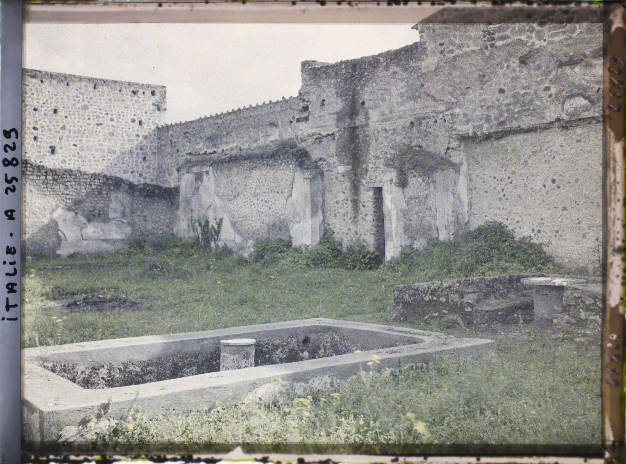 Image représentant Maison des noces d'argent, aquarium