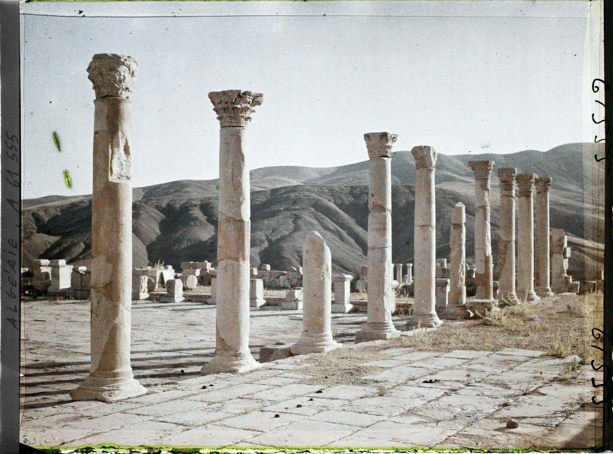 Image représentant Les Colonnades de l'ancien Forum, vestiges de la cité antique Cuicul